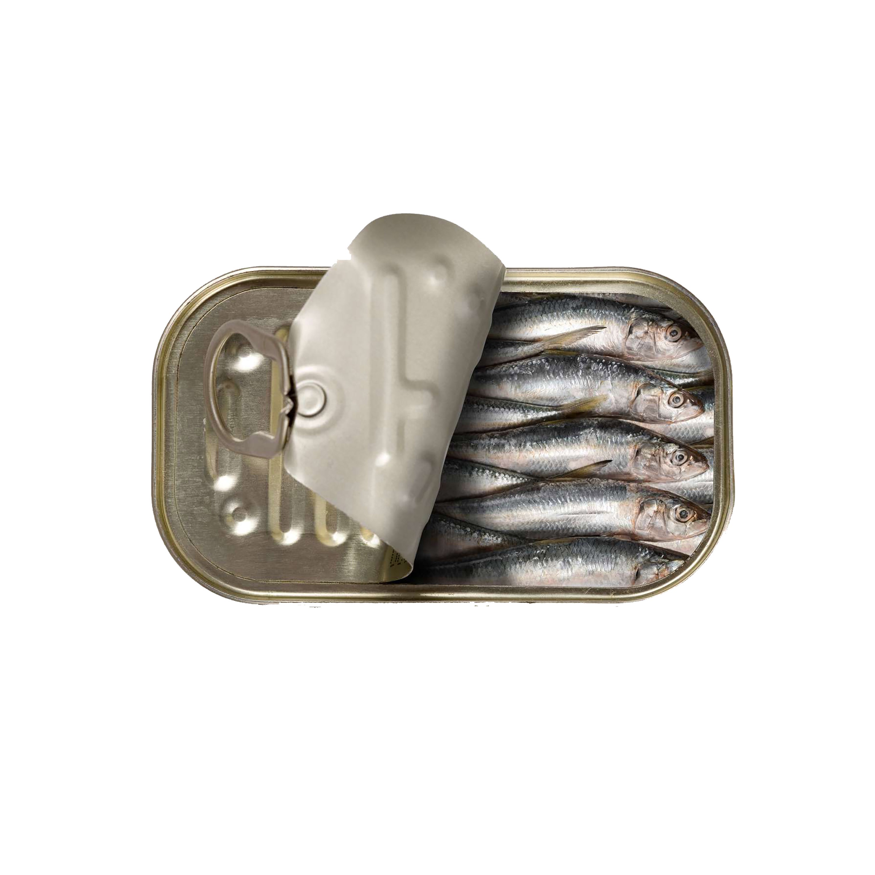 Long Sardine  - Limited #11