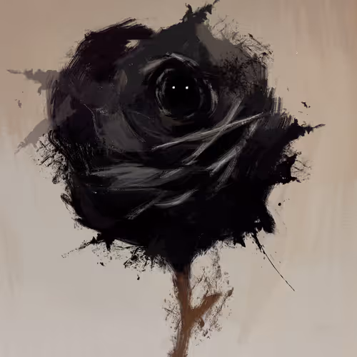 A very very dark rose