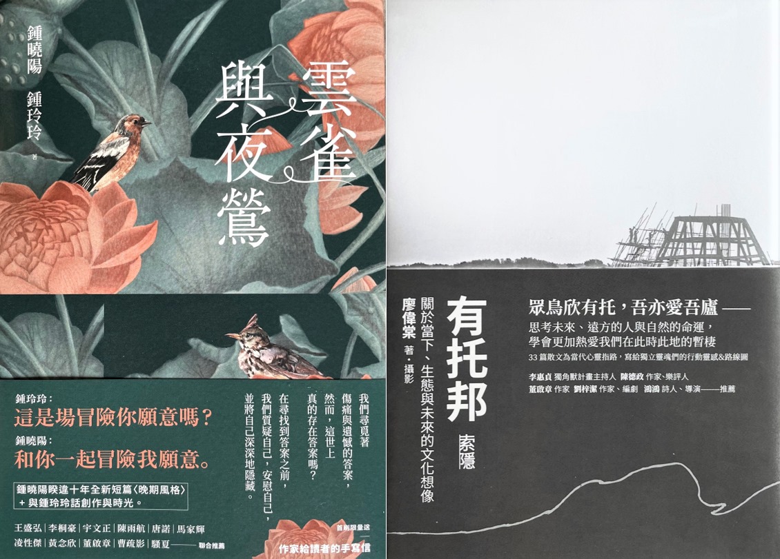Writing NFT - 早期與晚期：少年心與老年眼
