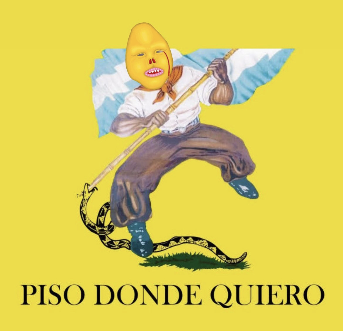 Piso donde quiero 