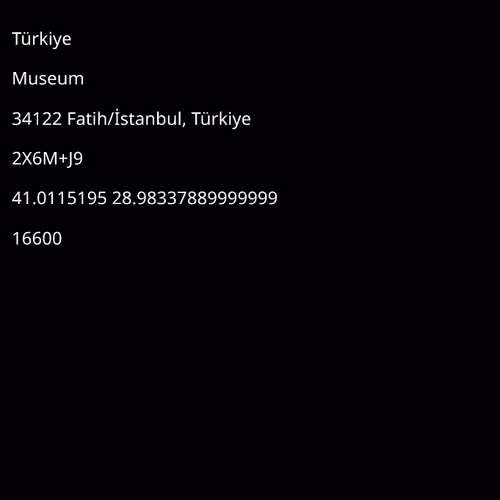 Fan of Topkapi Palace Museum