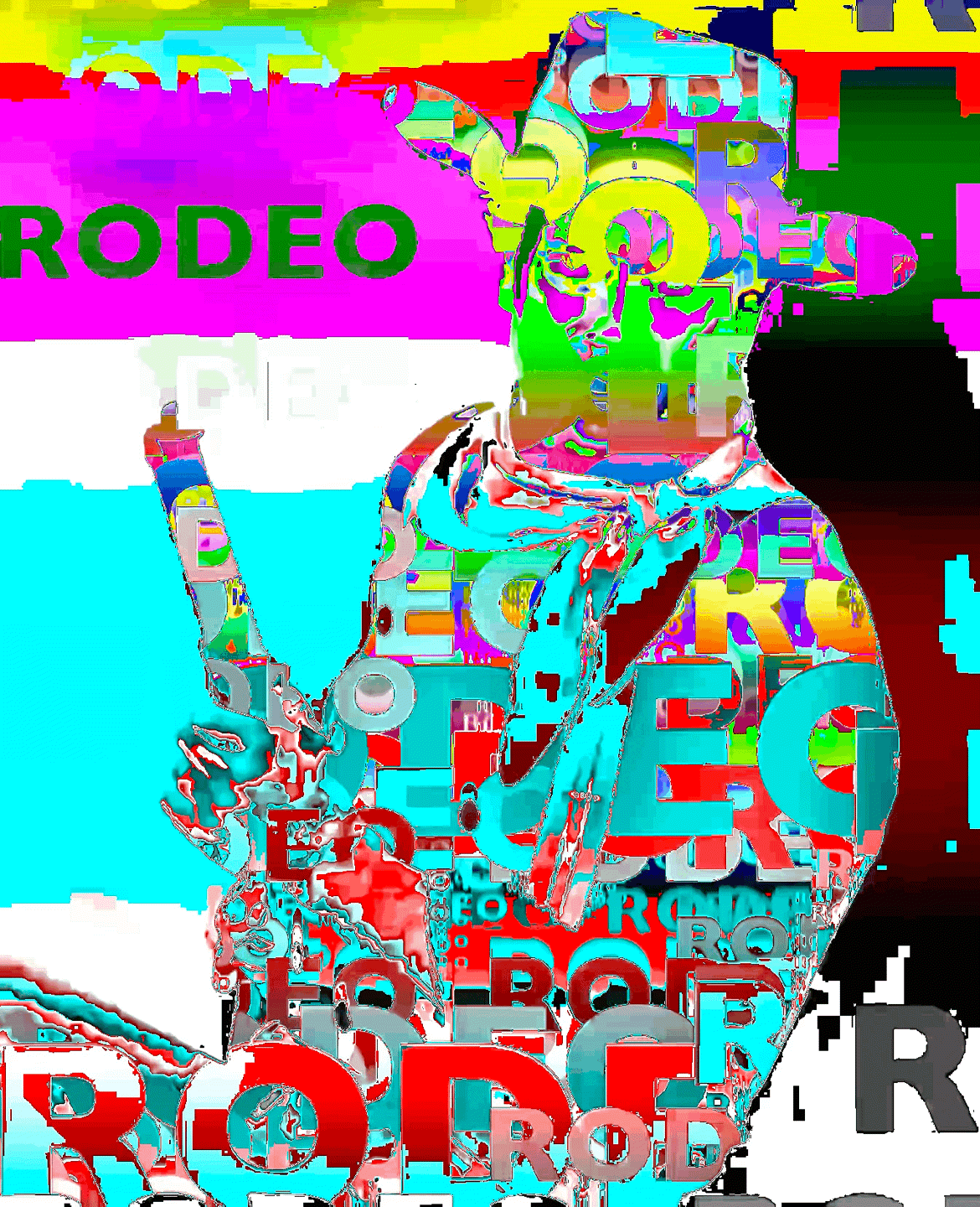Not My First Rodeo