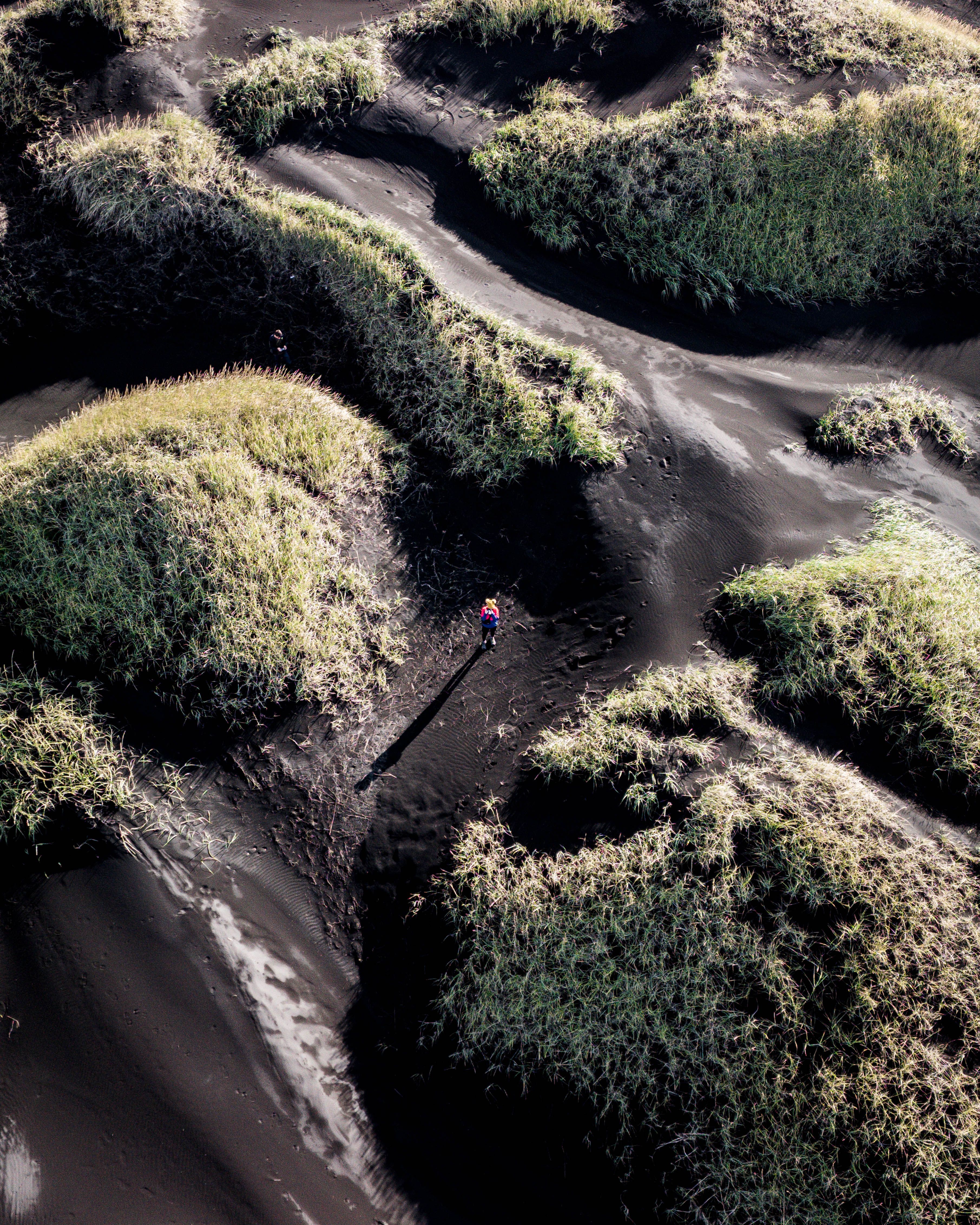 Dune Walker