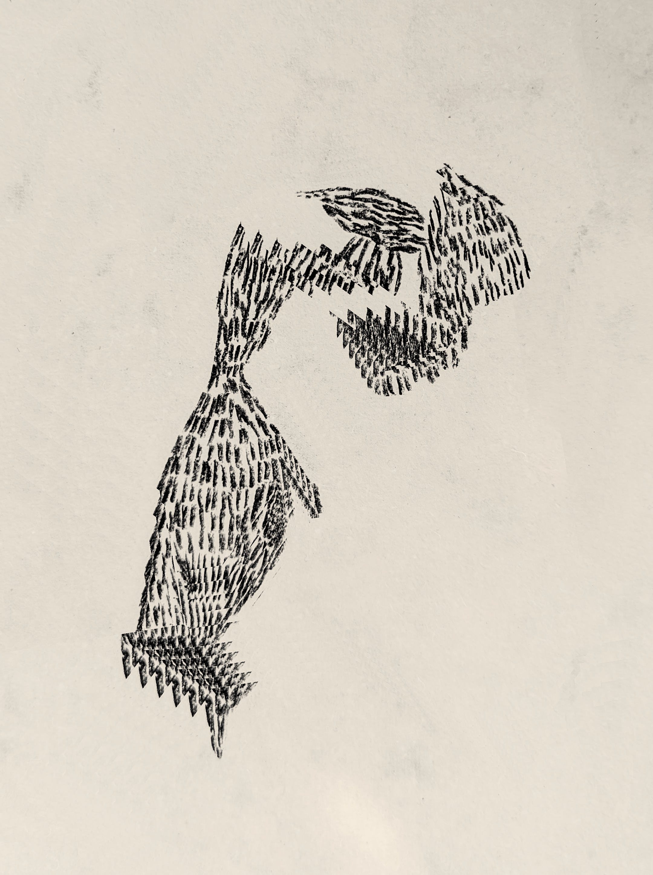Roughs II - 310724_P01 /6