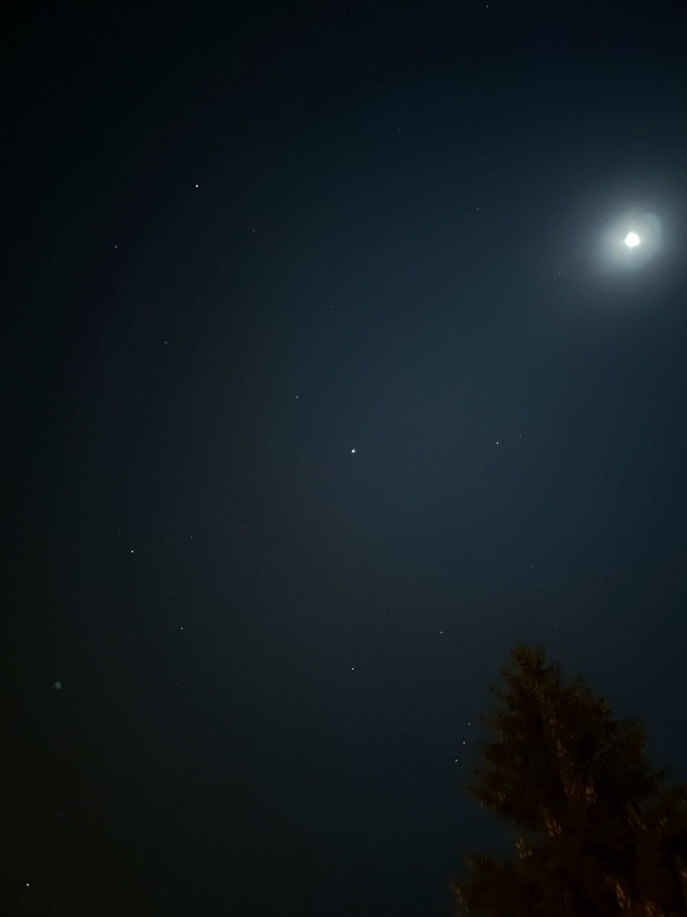 Midnight in a perfect world
