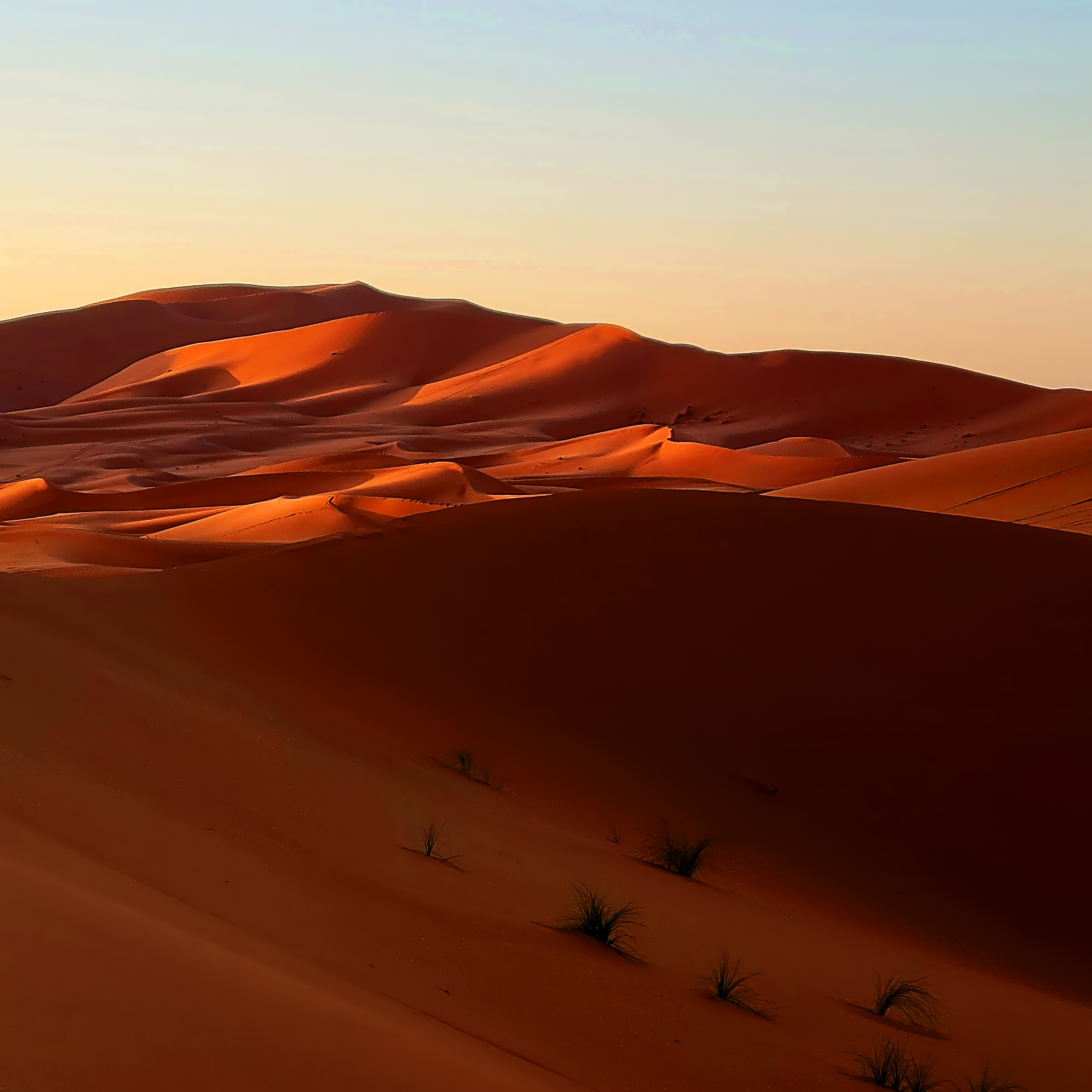Waves of the Desert #63
