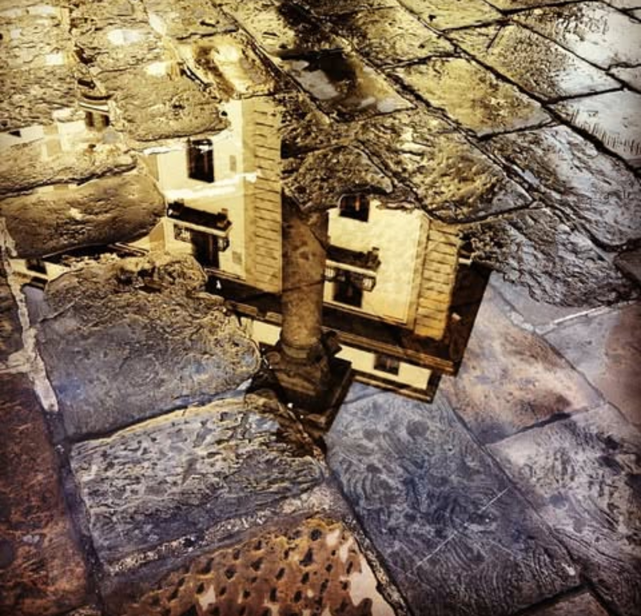 Timeless Reflection