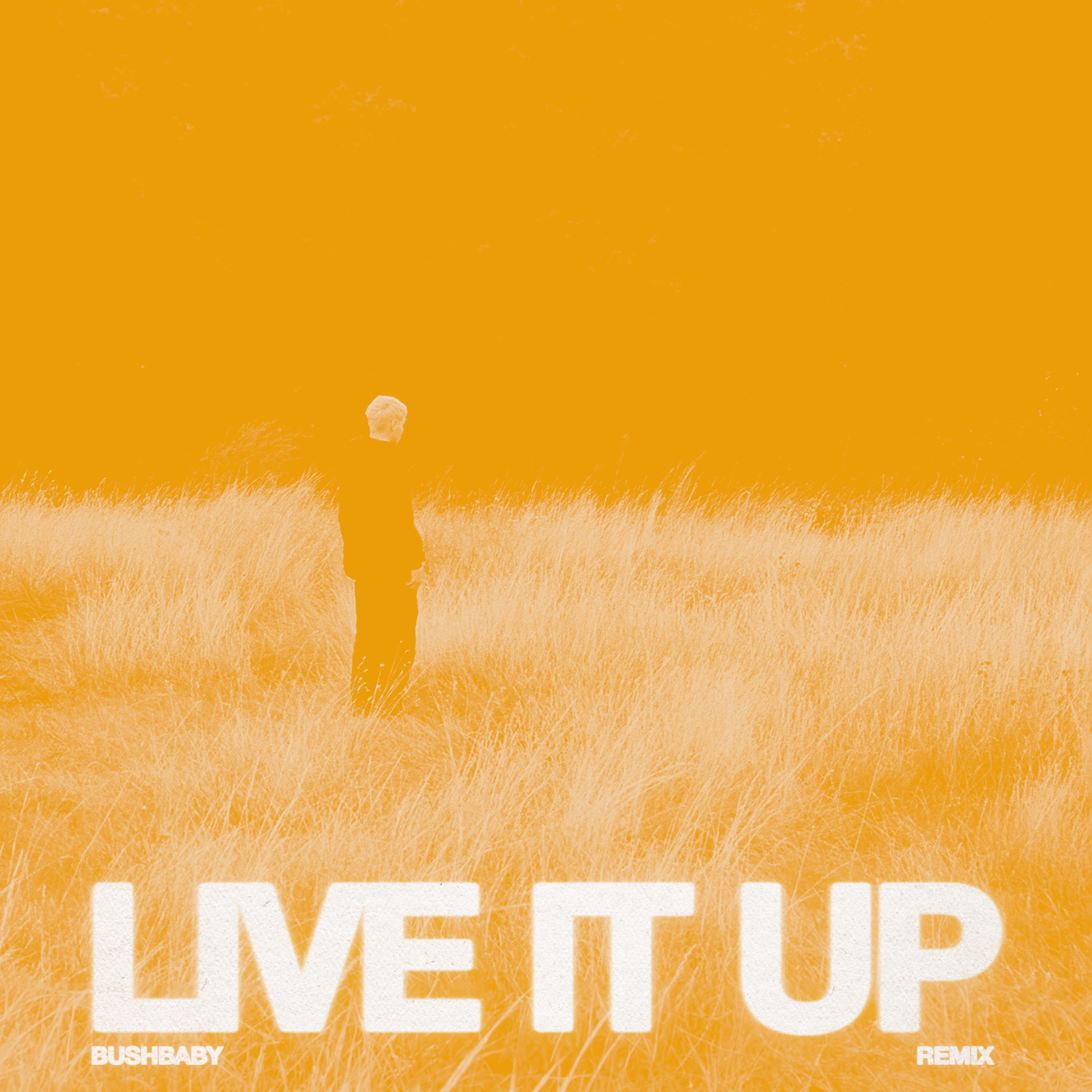LIVE IT UP (Bushbaby Remix) - Free #179