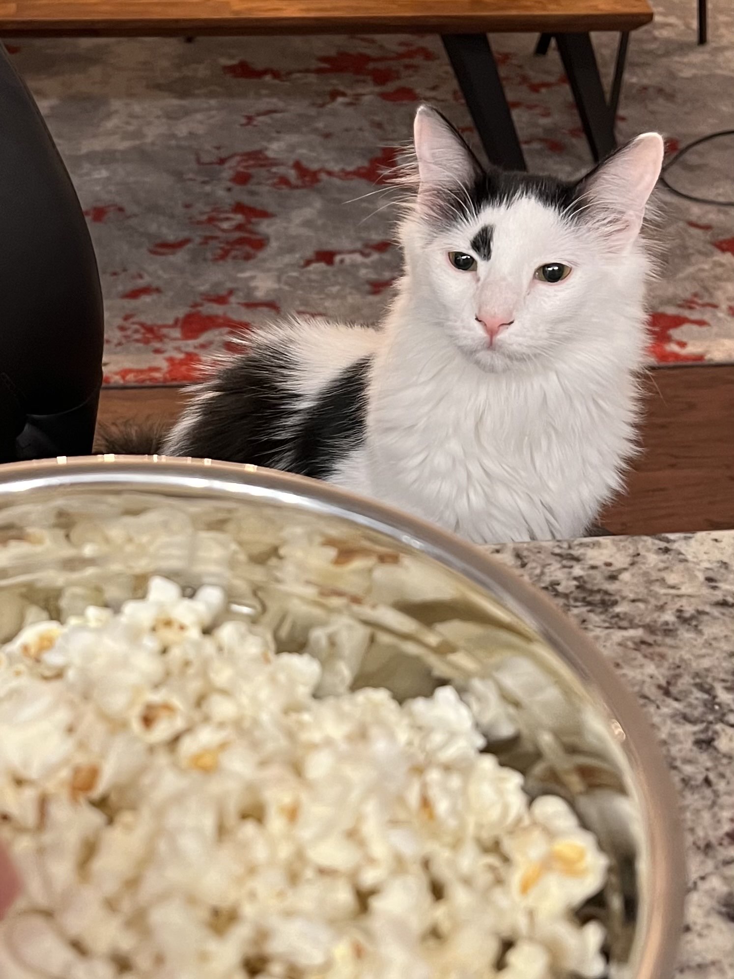 He Want Popcorn
