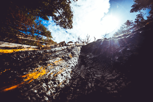 Yosemite - 12