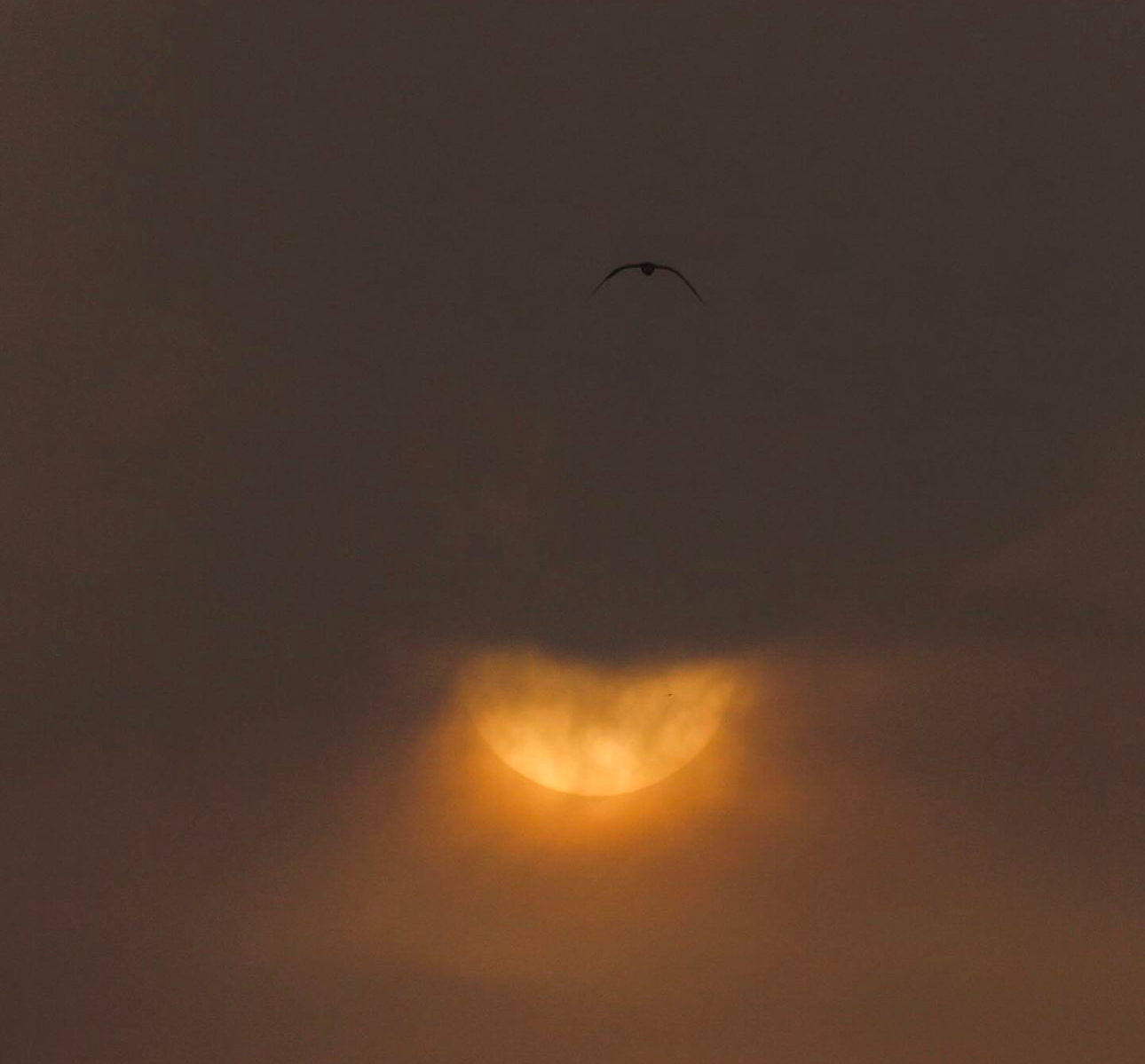 Veiled by Rainclouds