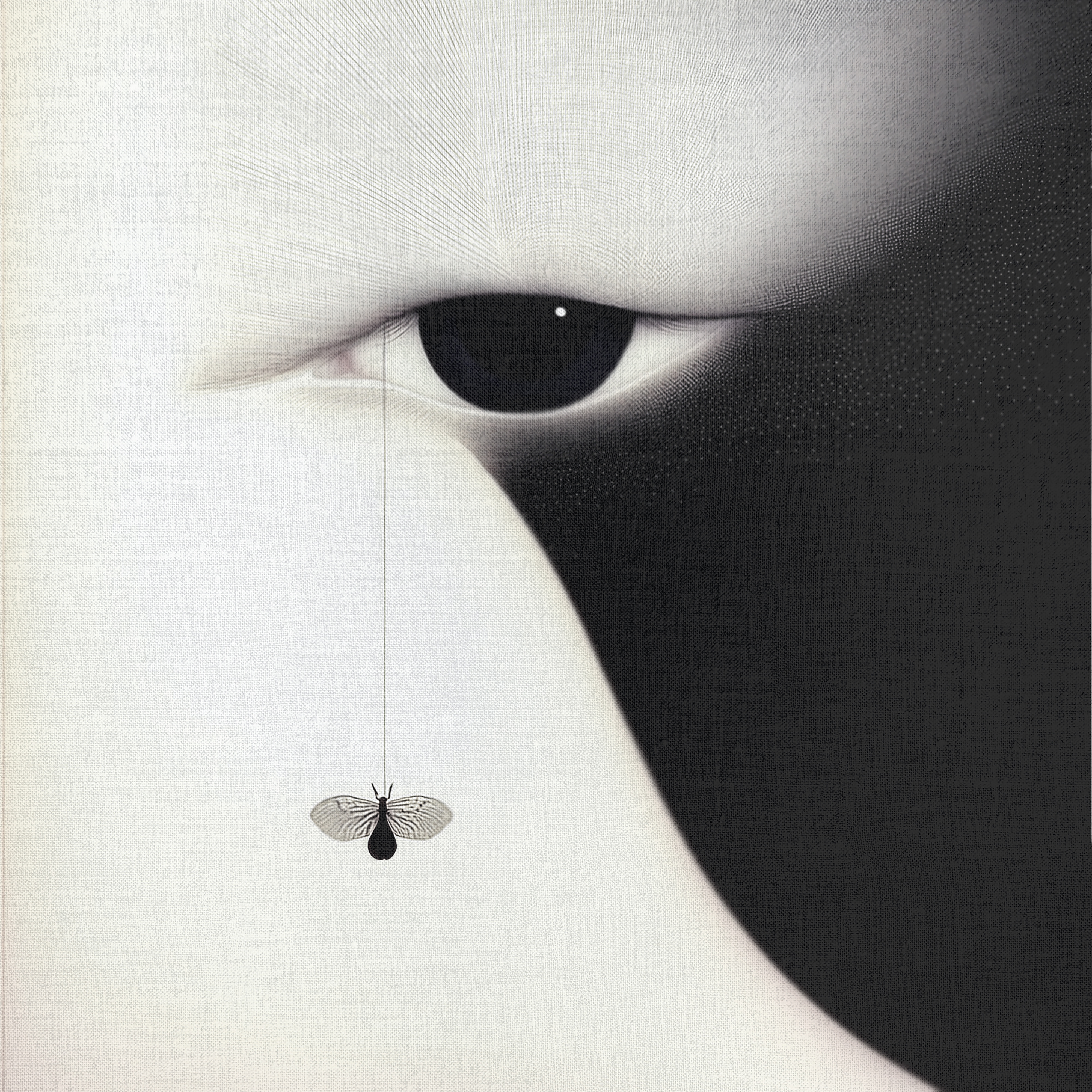 feel