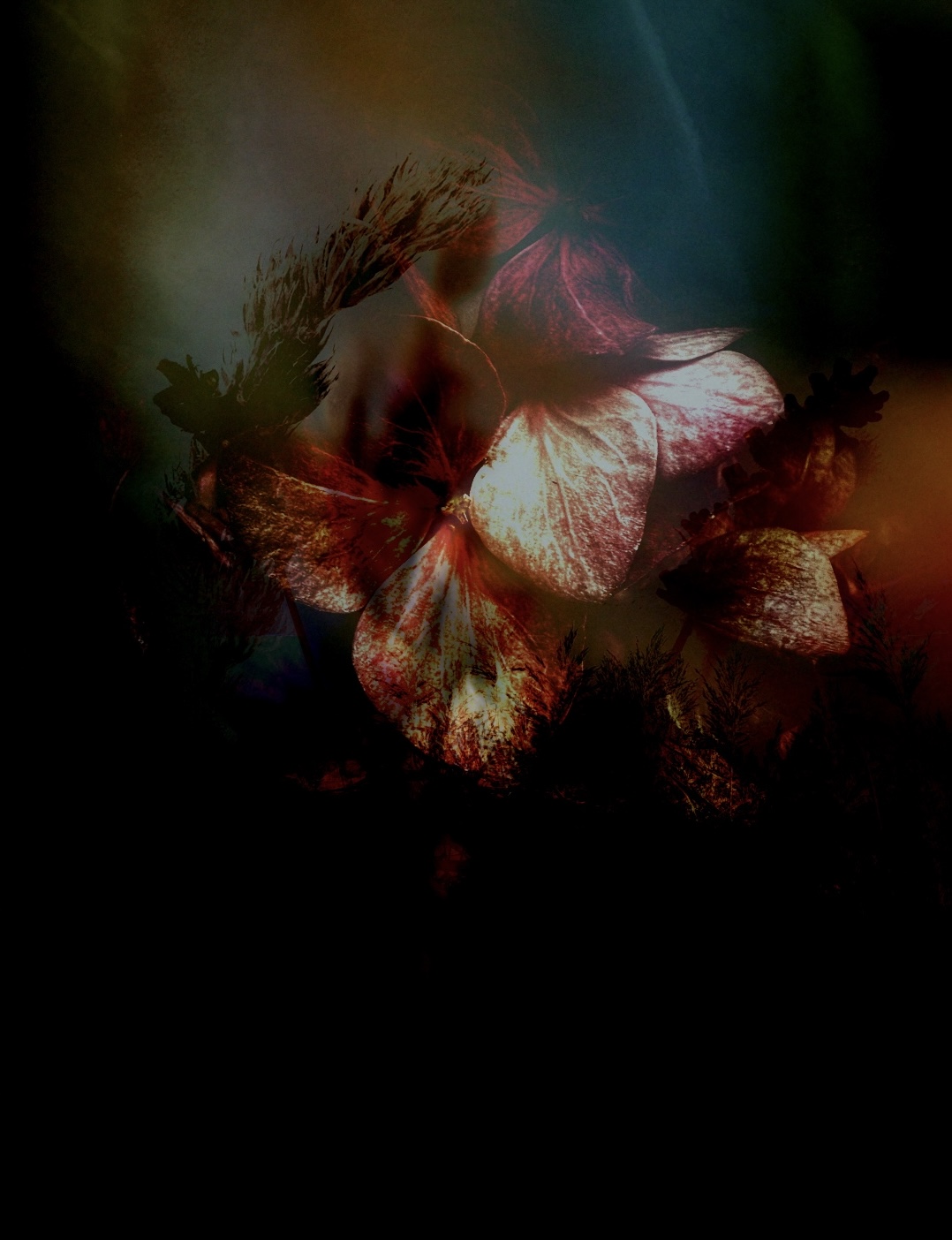 Darkness Ablaze #6