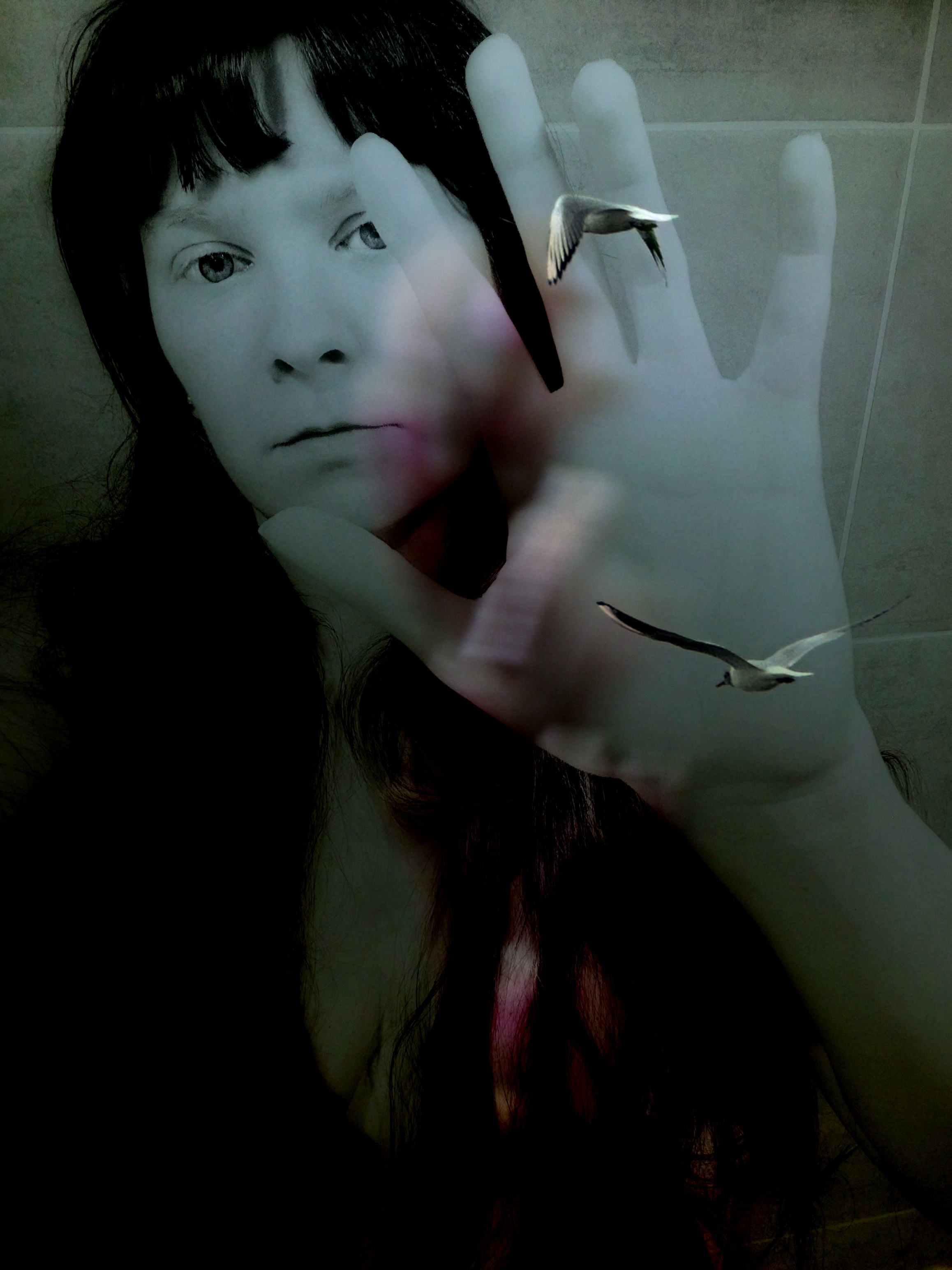 Bird in the Hand