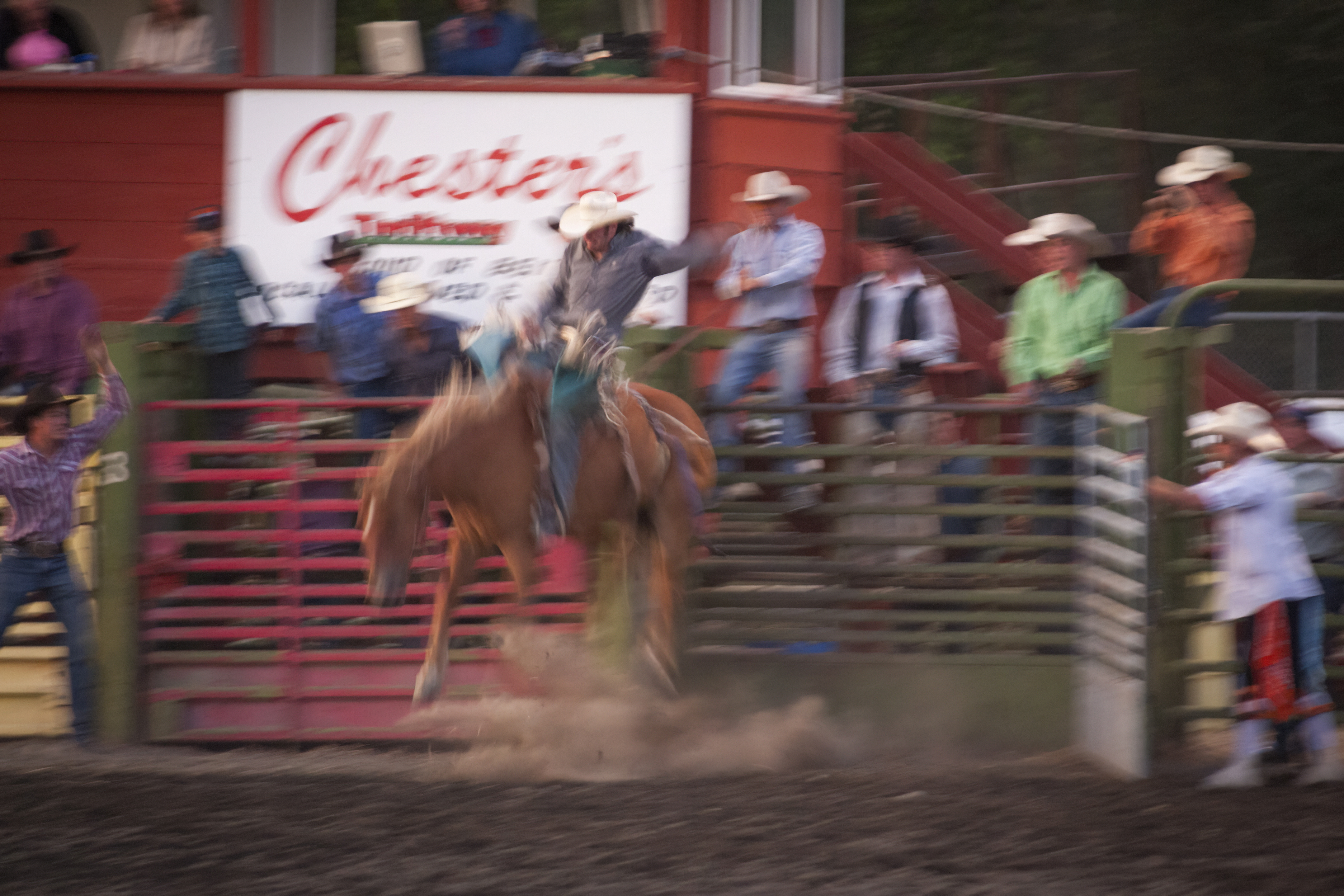 IRL Rodeo! (2 of 5)