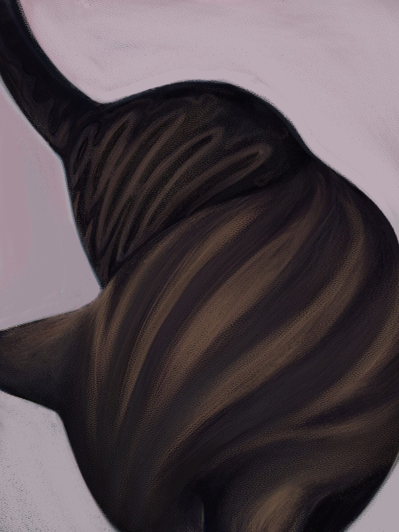 Back of a Cat