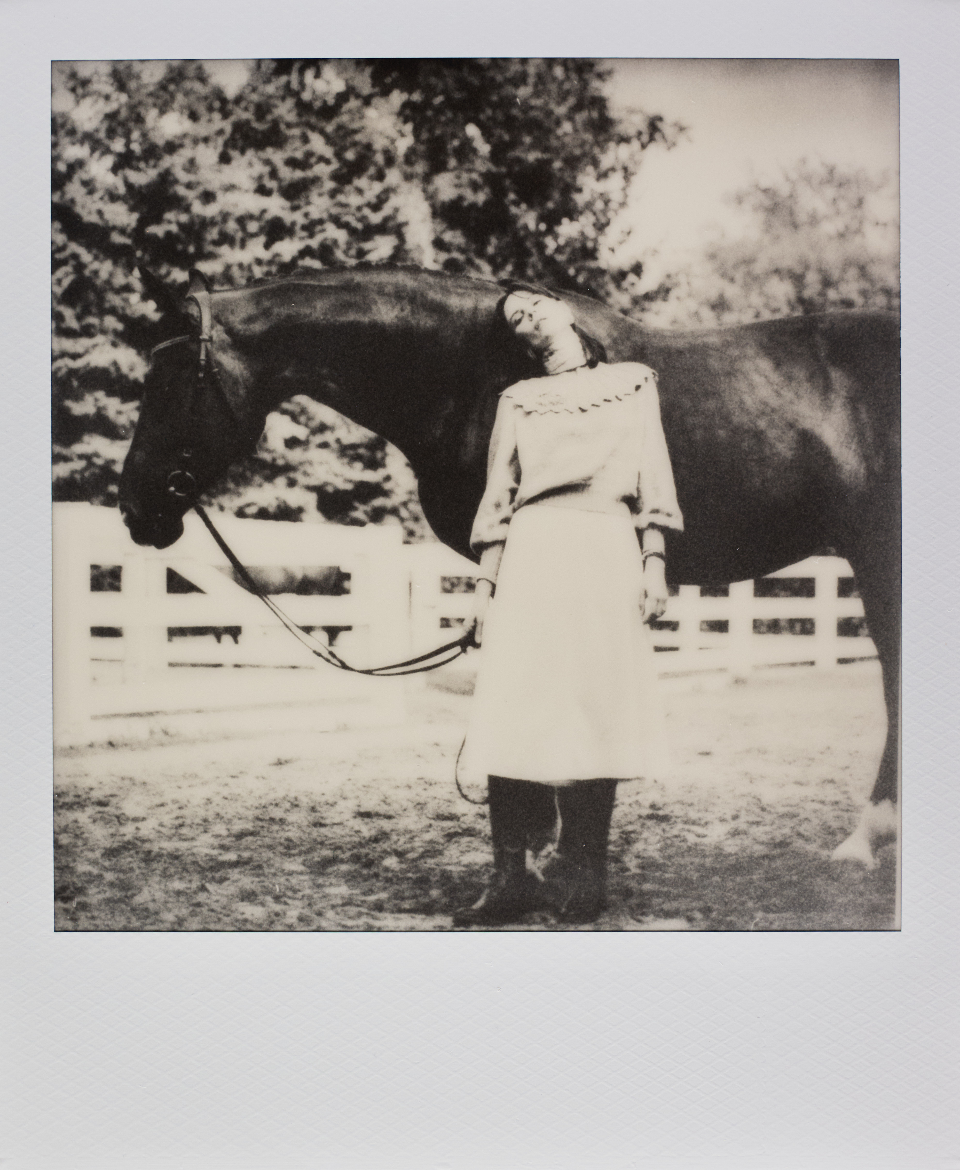 Polaroid #4