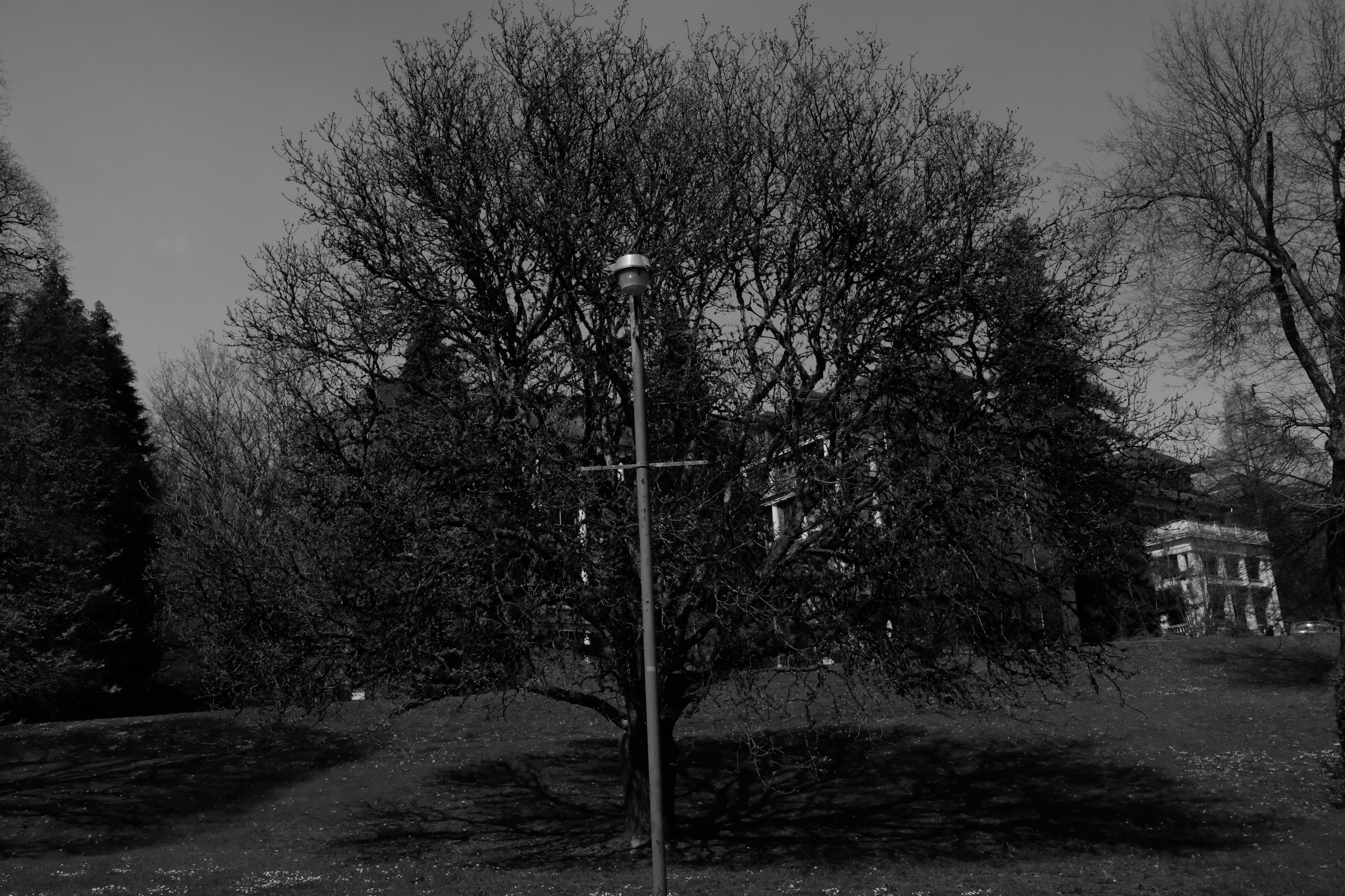 Asylum - 2