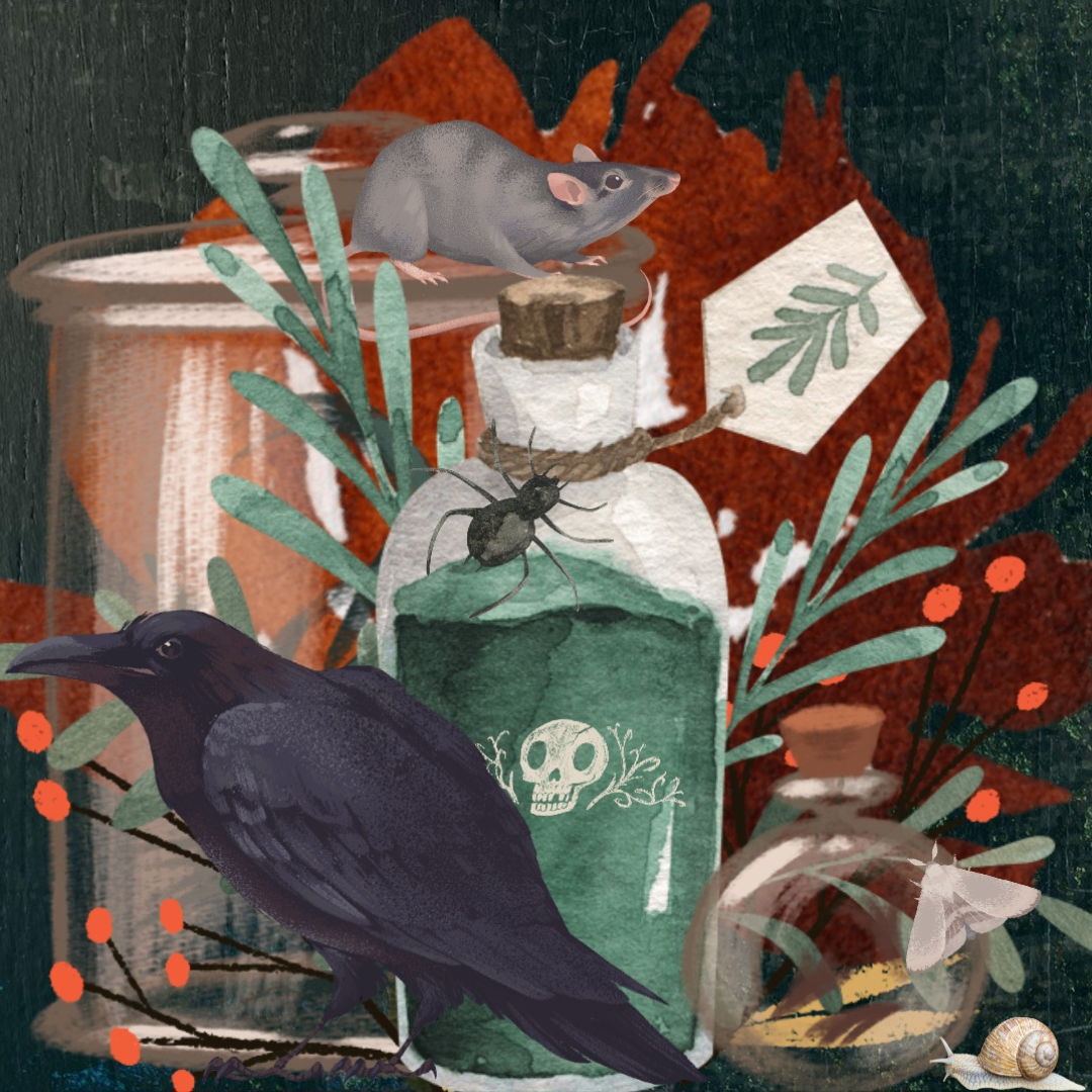 Apothecary #49