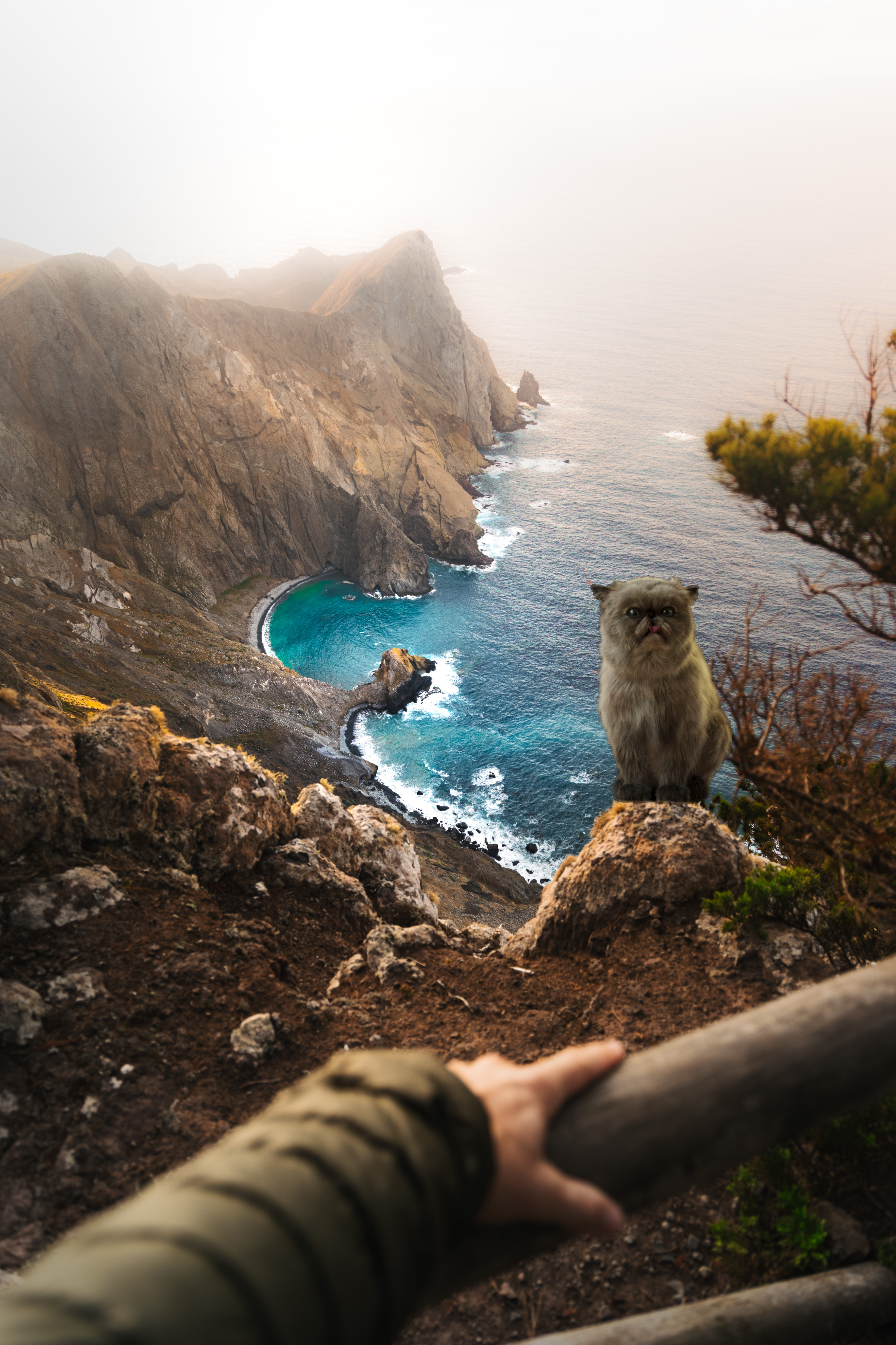 Mister Miggles in Madeira Island #1