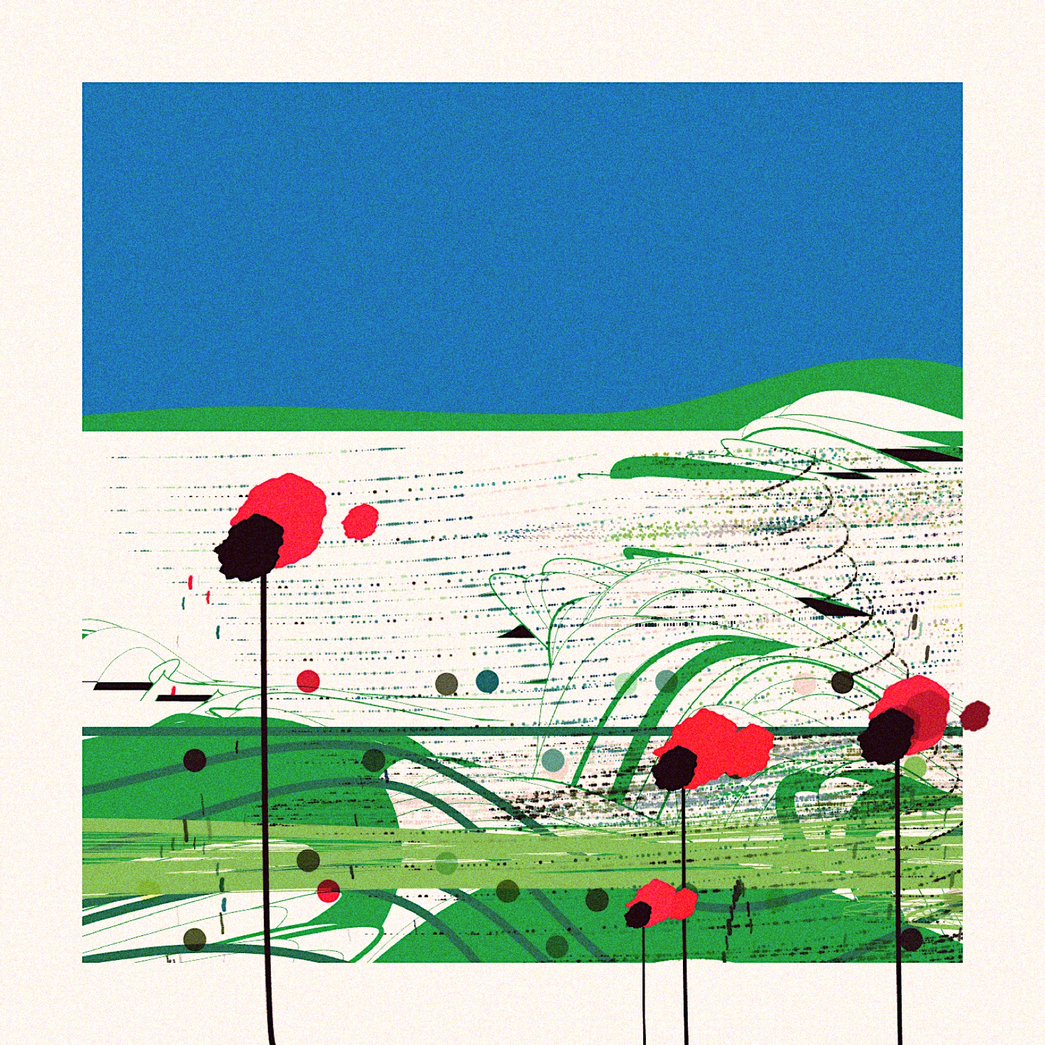 Poppies of Normandy