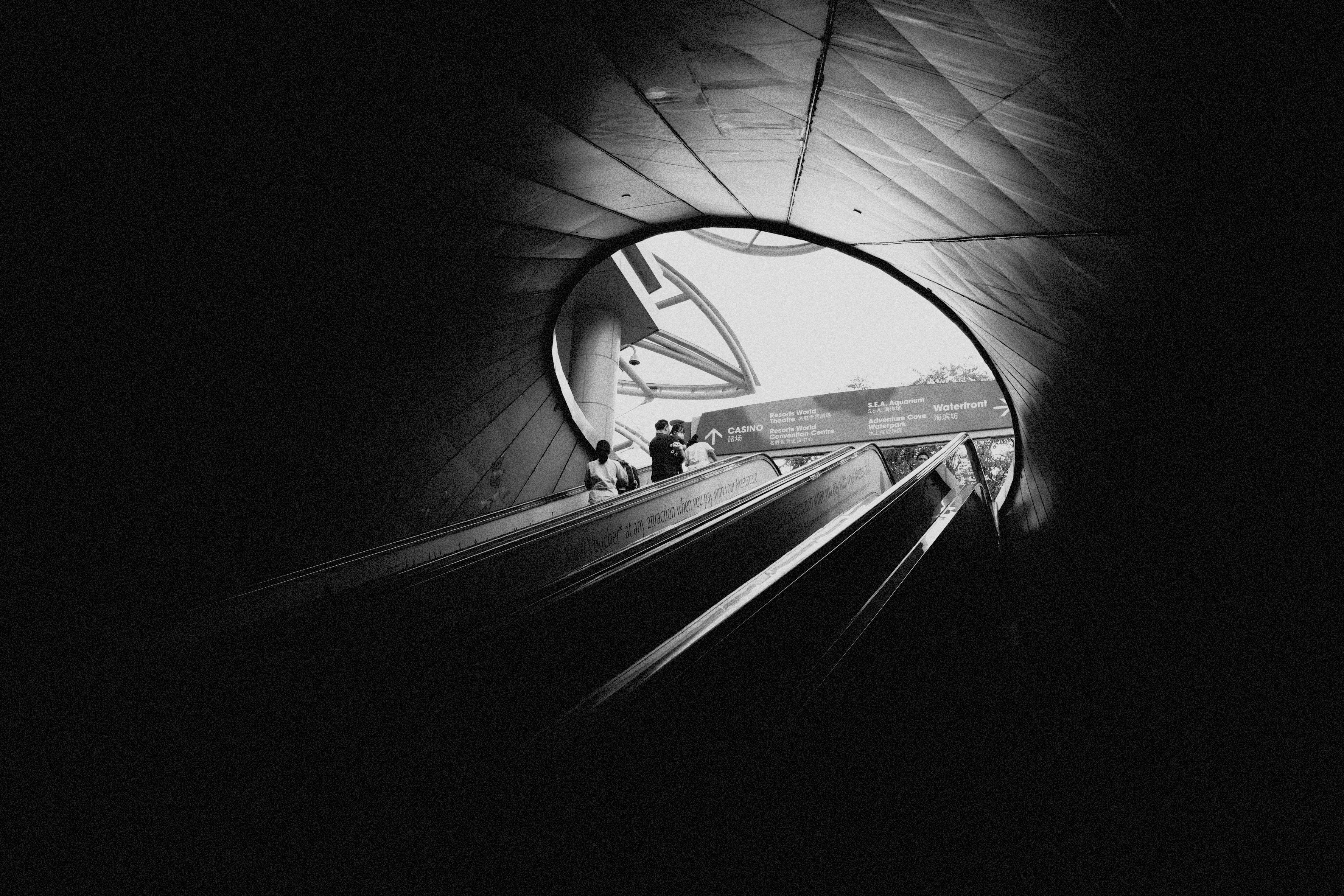 BnW Emulation #8