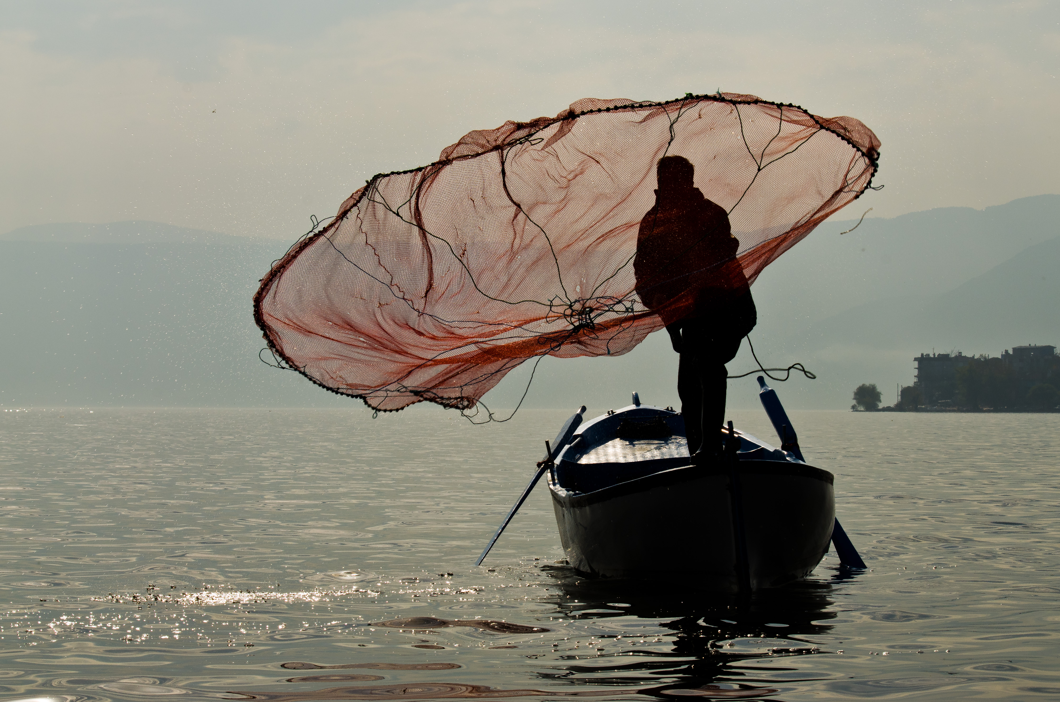 Morning Catch
