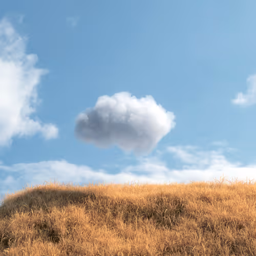 Happy Little Cloud