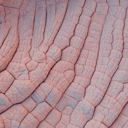 ERODED 007 //