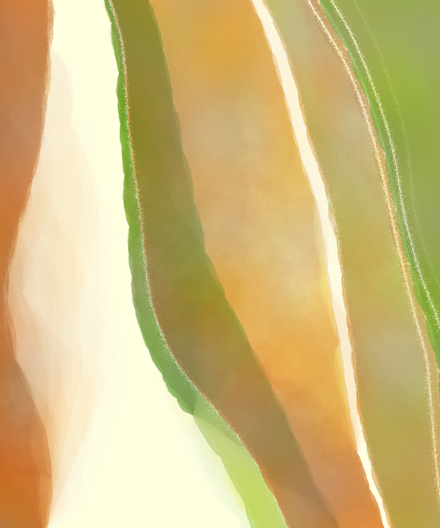 color study j
