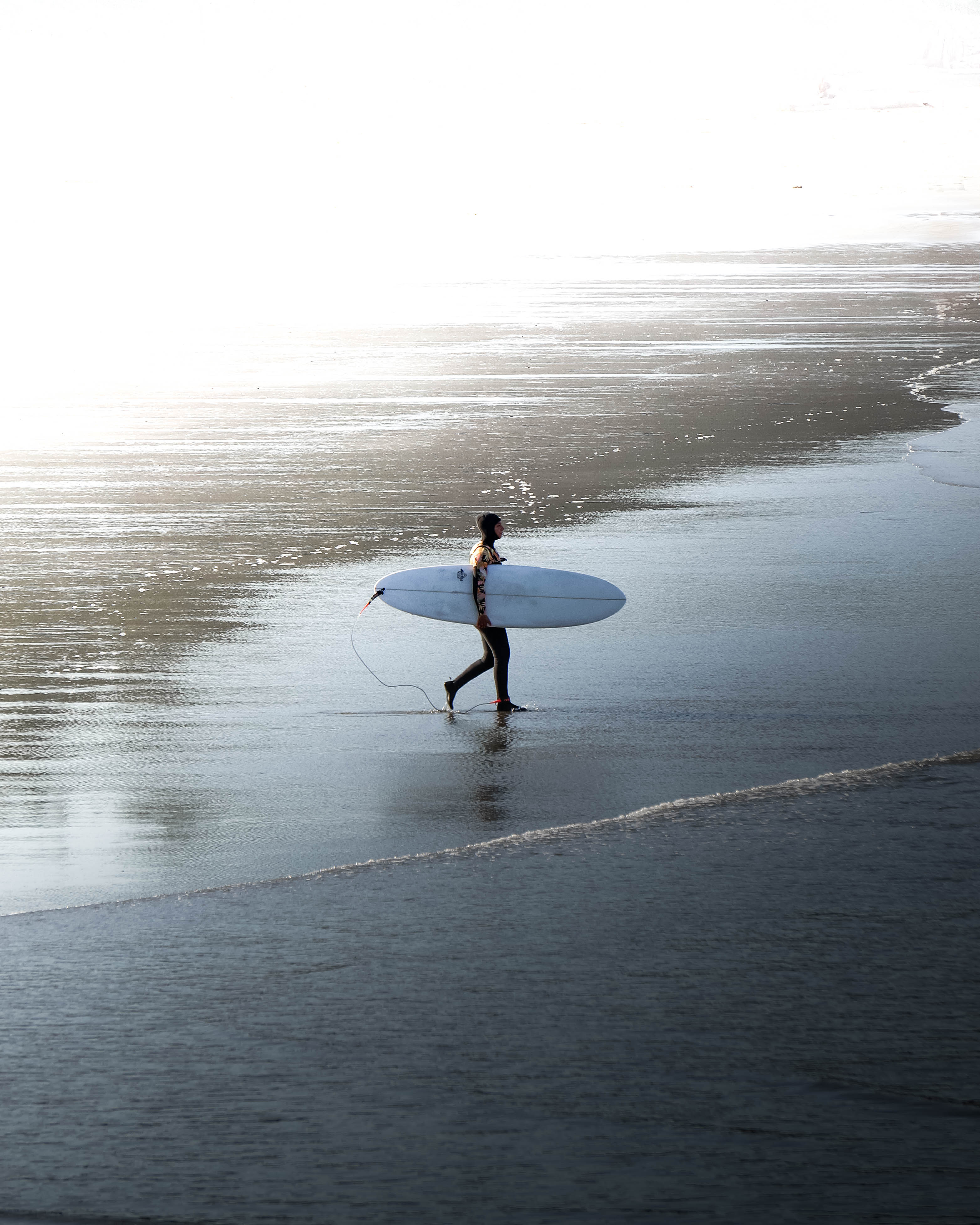 Surf's Up