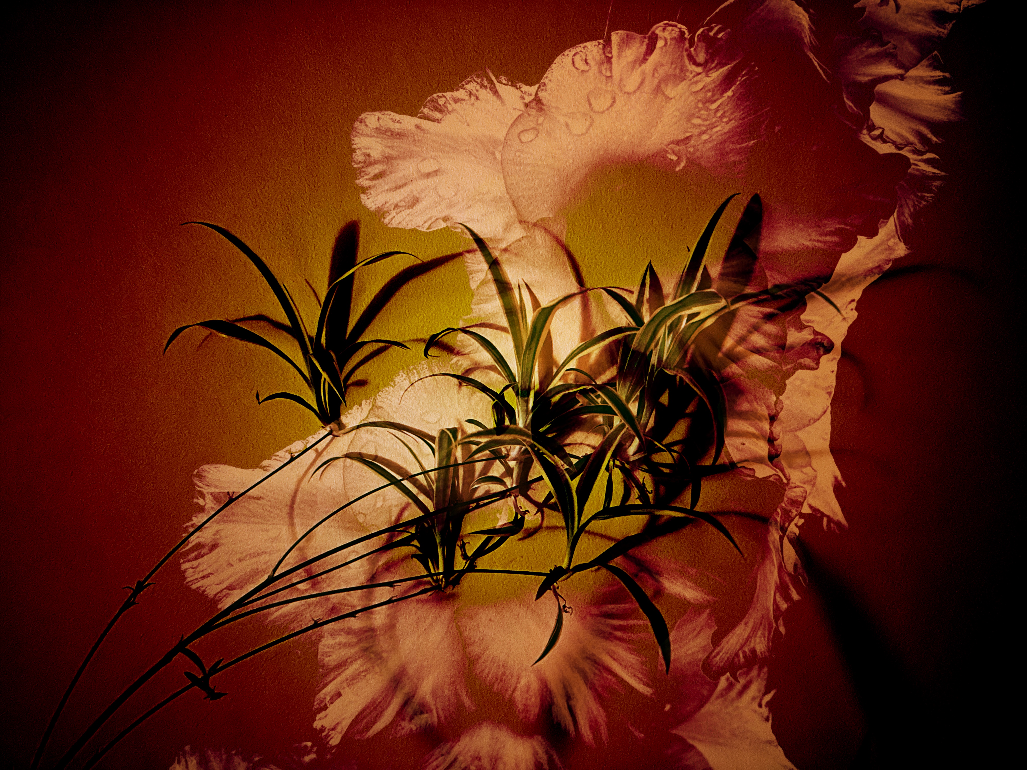Exotic Taste #33