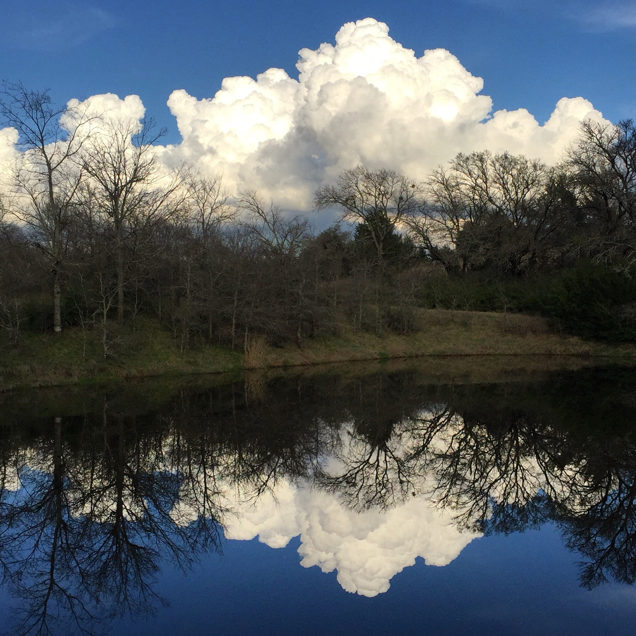 Clouds Admiring Their Reflection