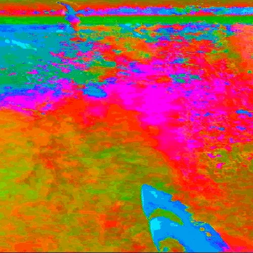 SHARK