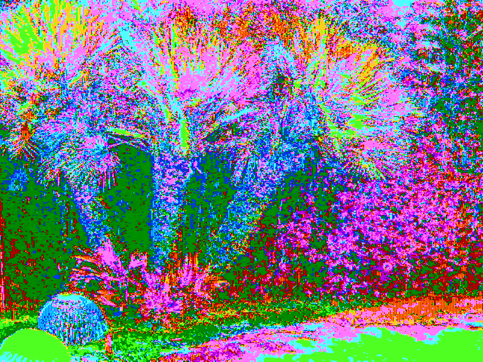 Psychedelic Palms