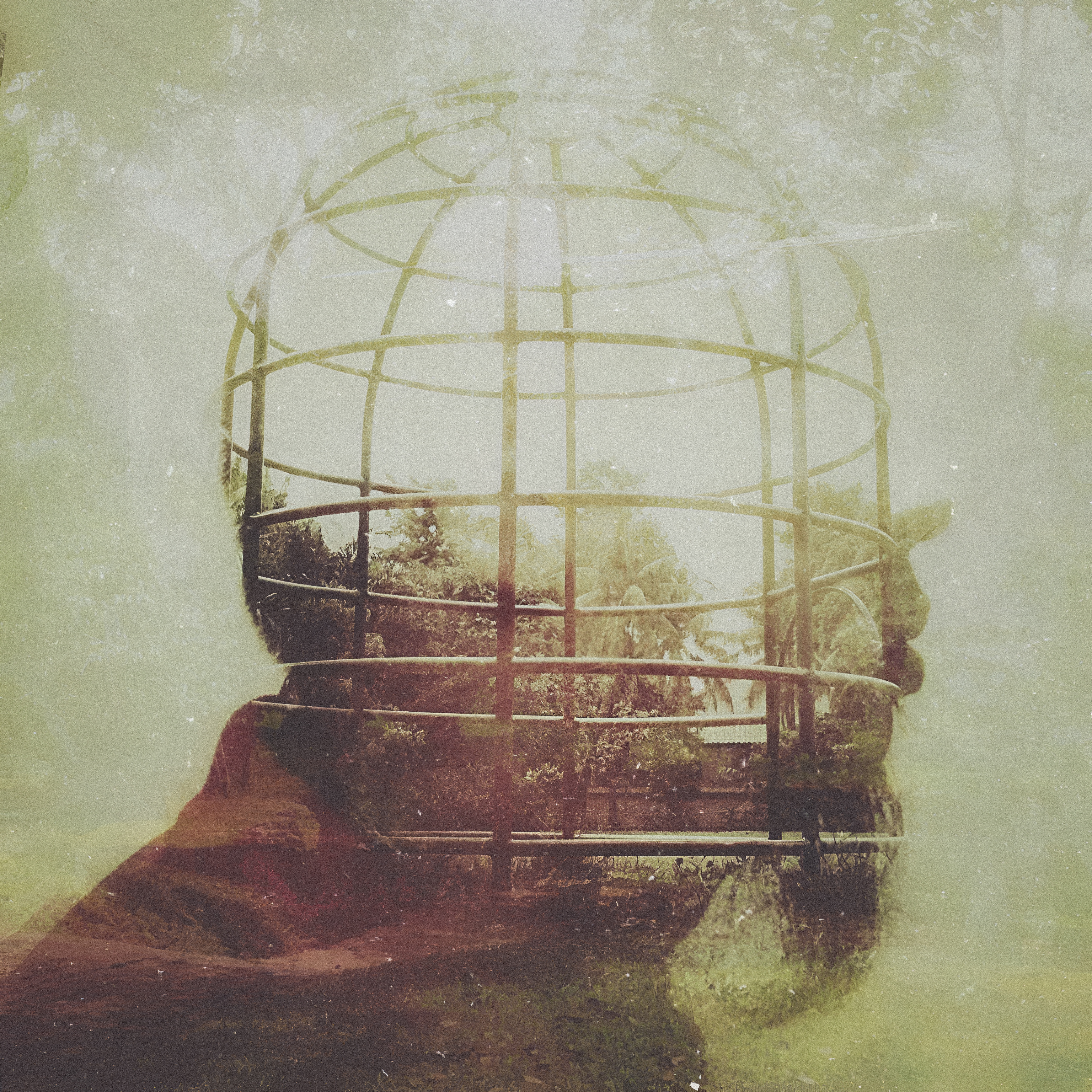 Cage Head