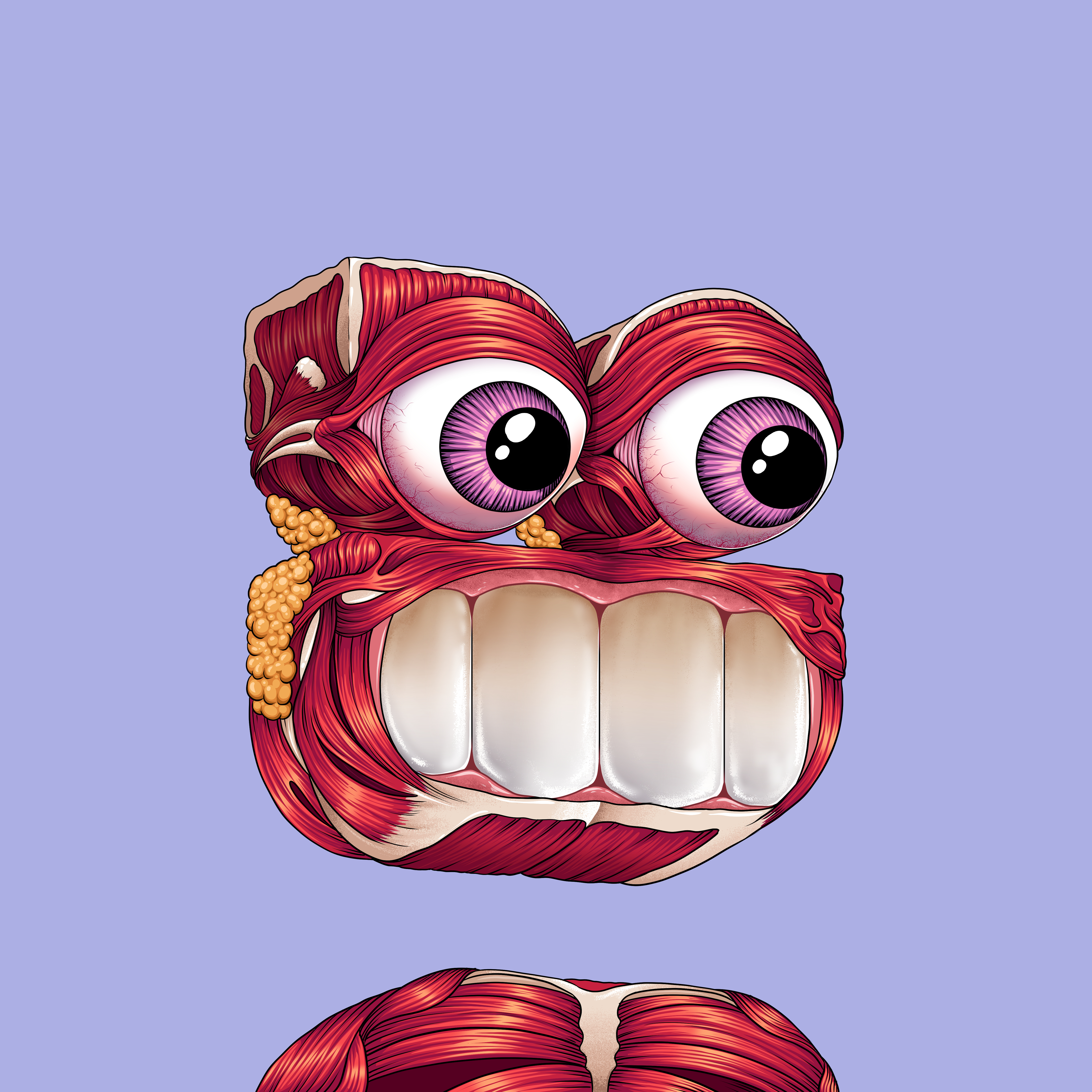 D:\opepen\Anatomy-3.jpg
