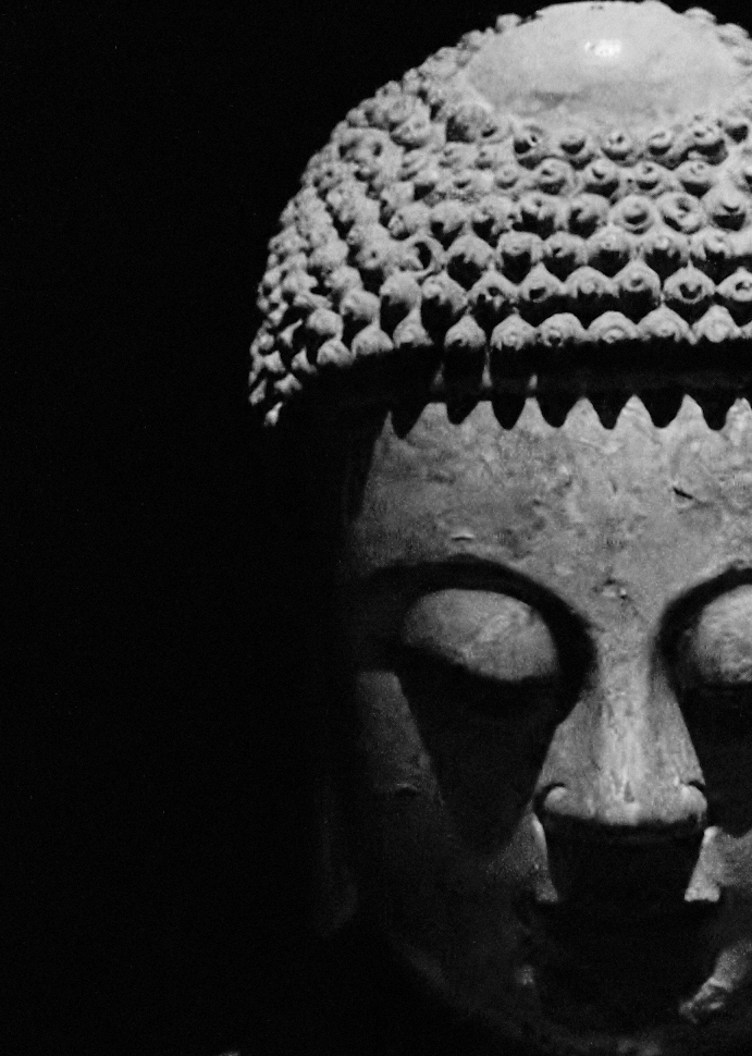 Siddhartha
