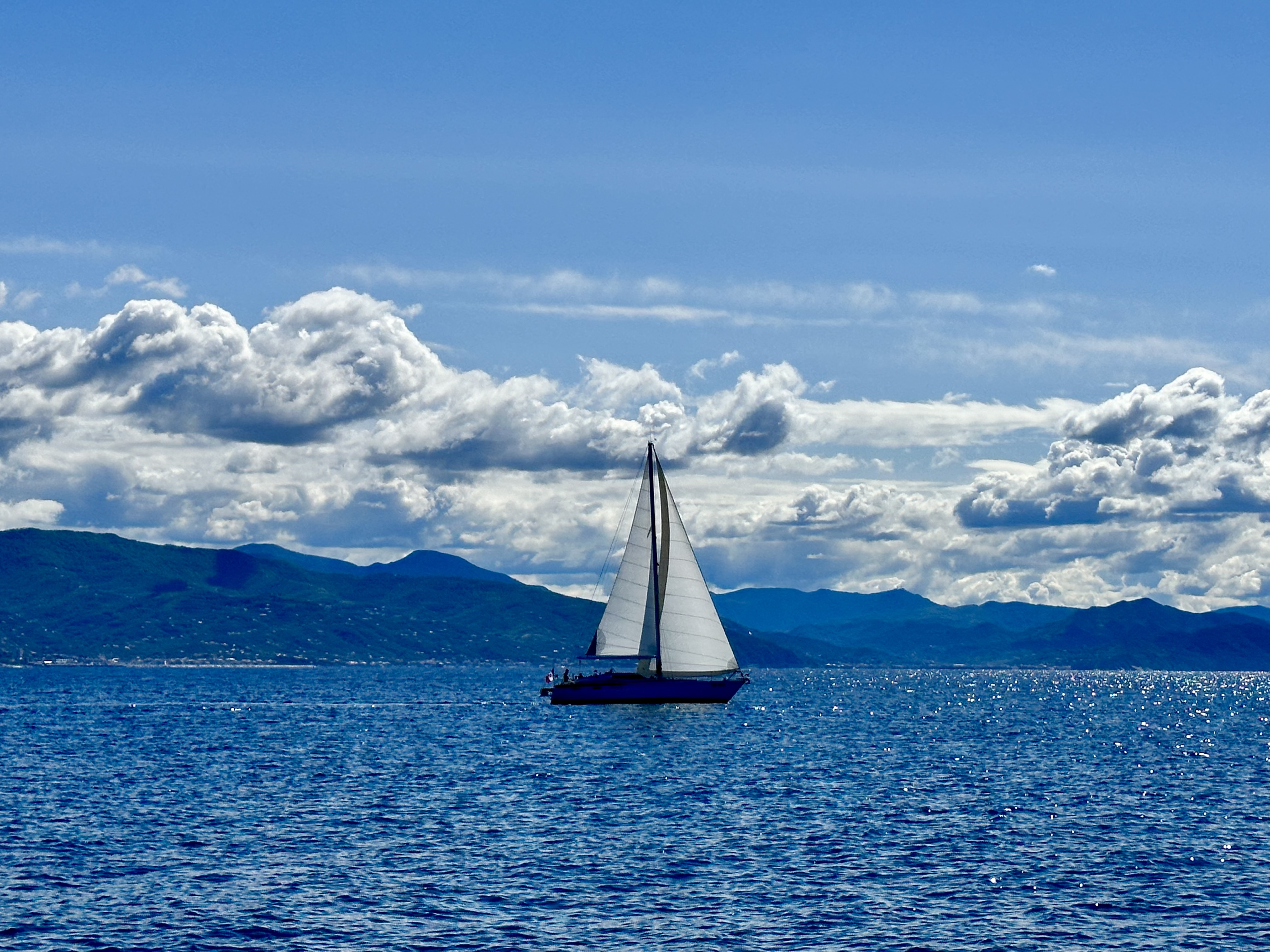 Set Sail #43