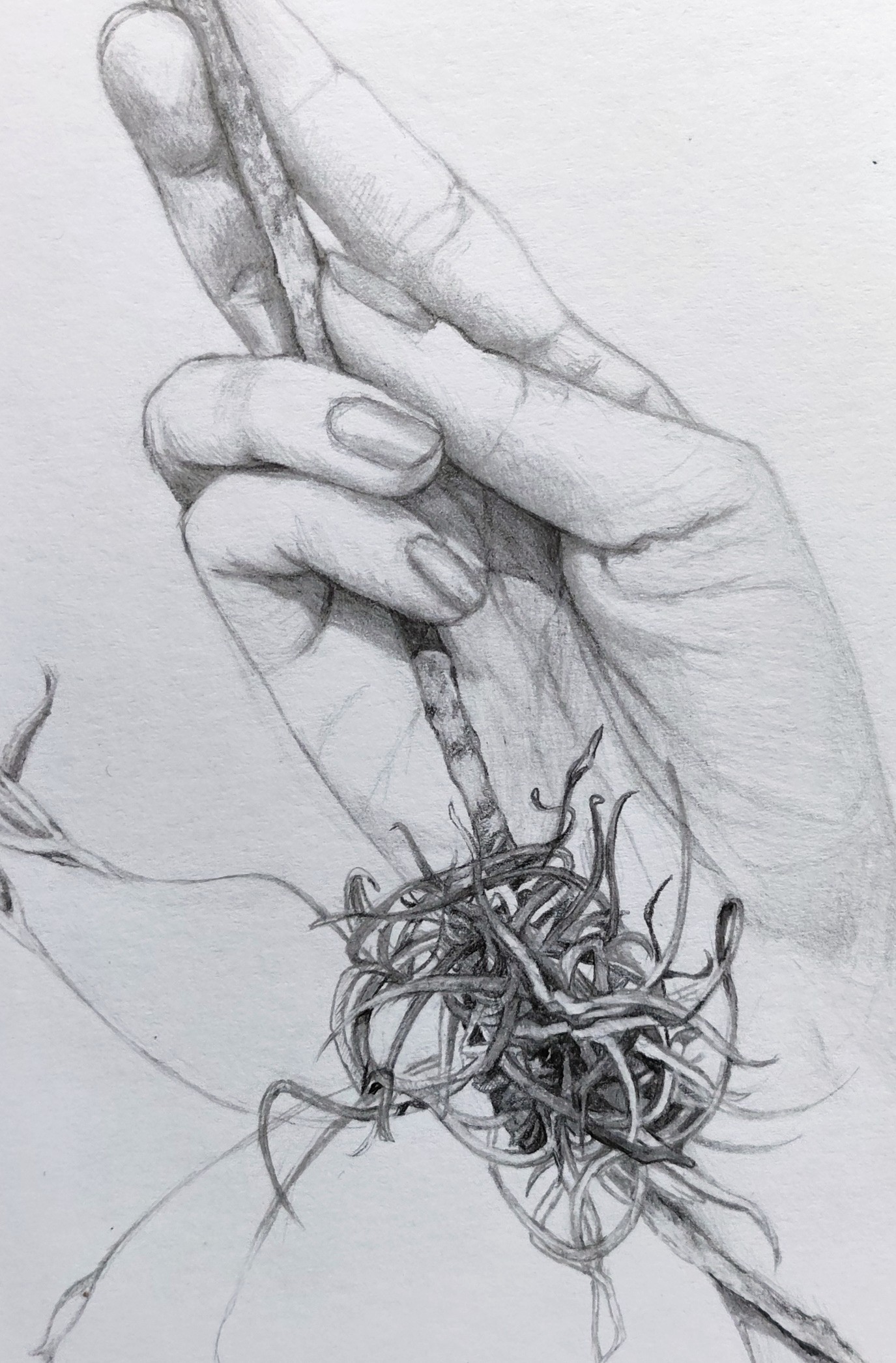 A hand that holds