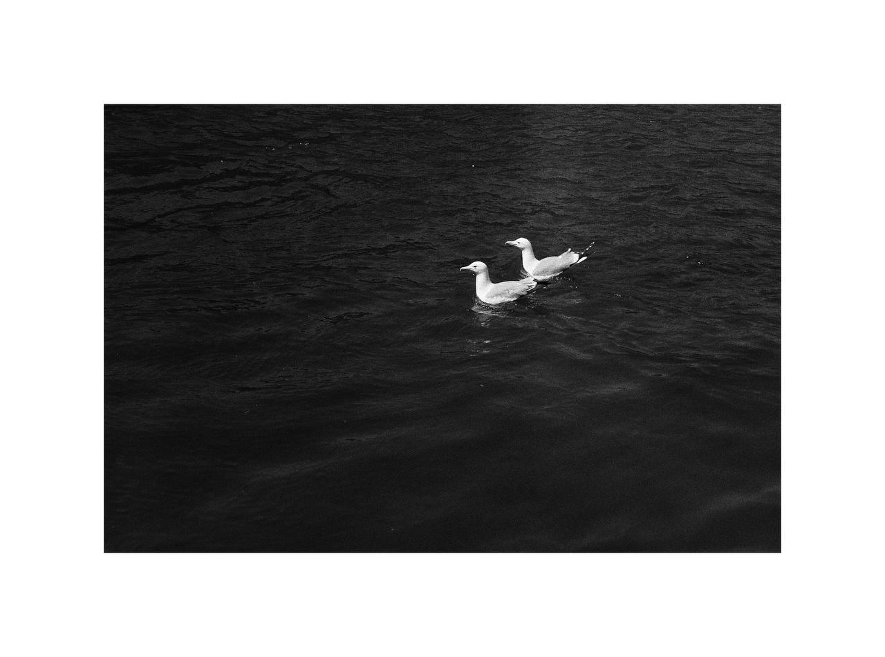 Ocean Pair
