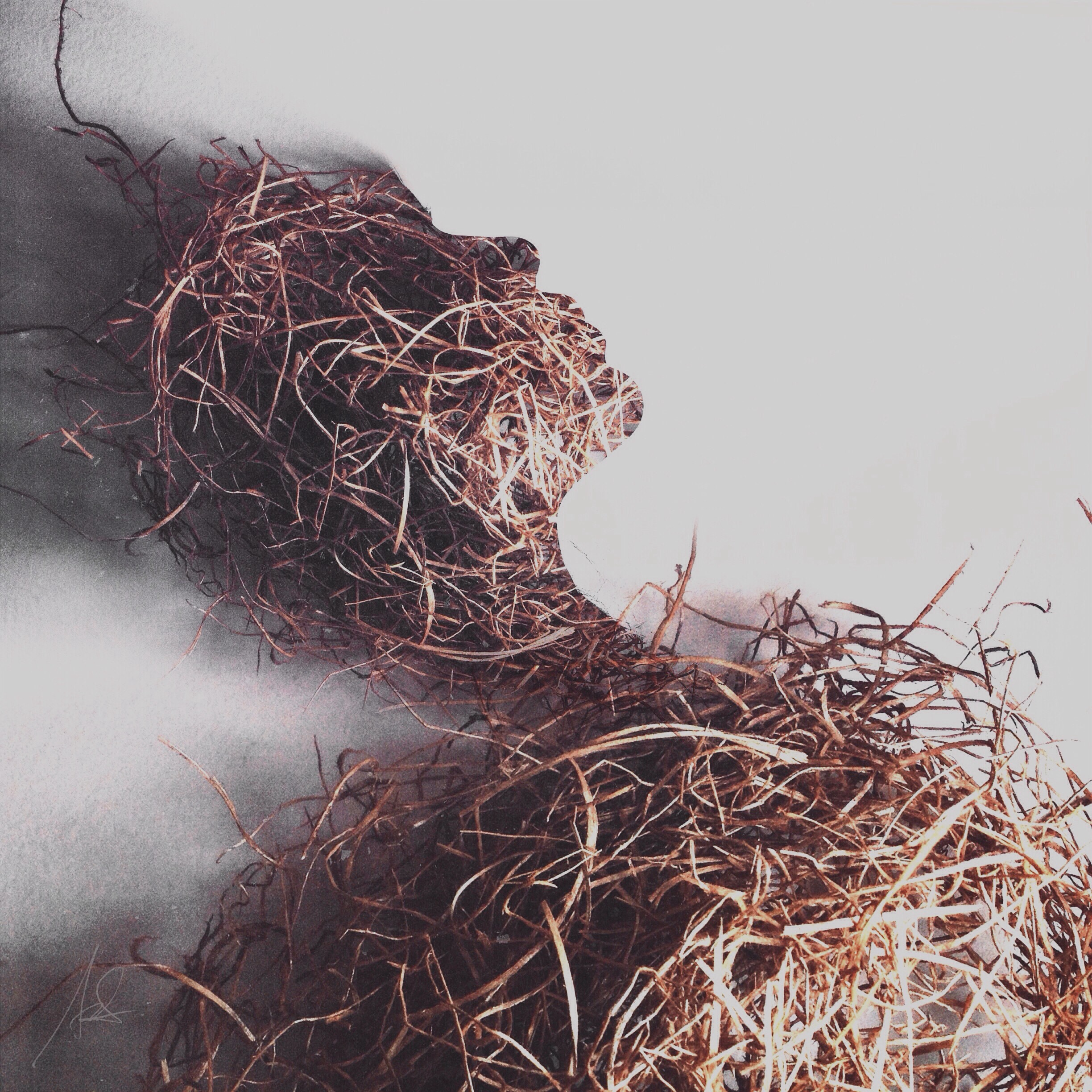 Scarecrow ºX