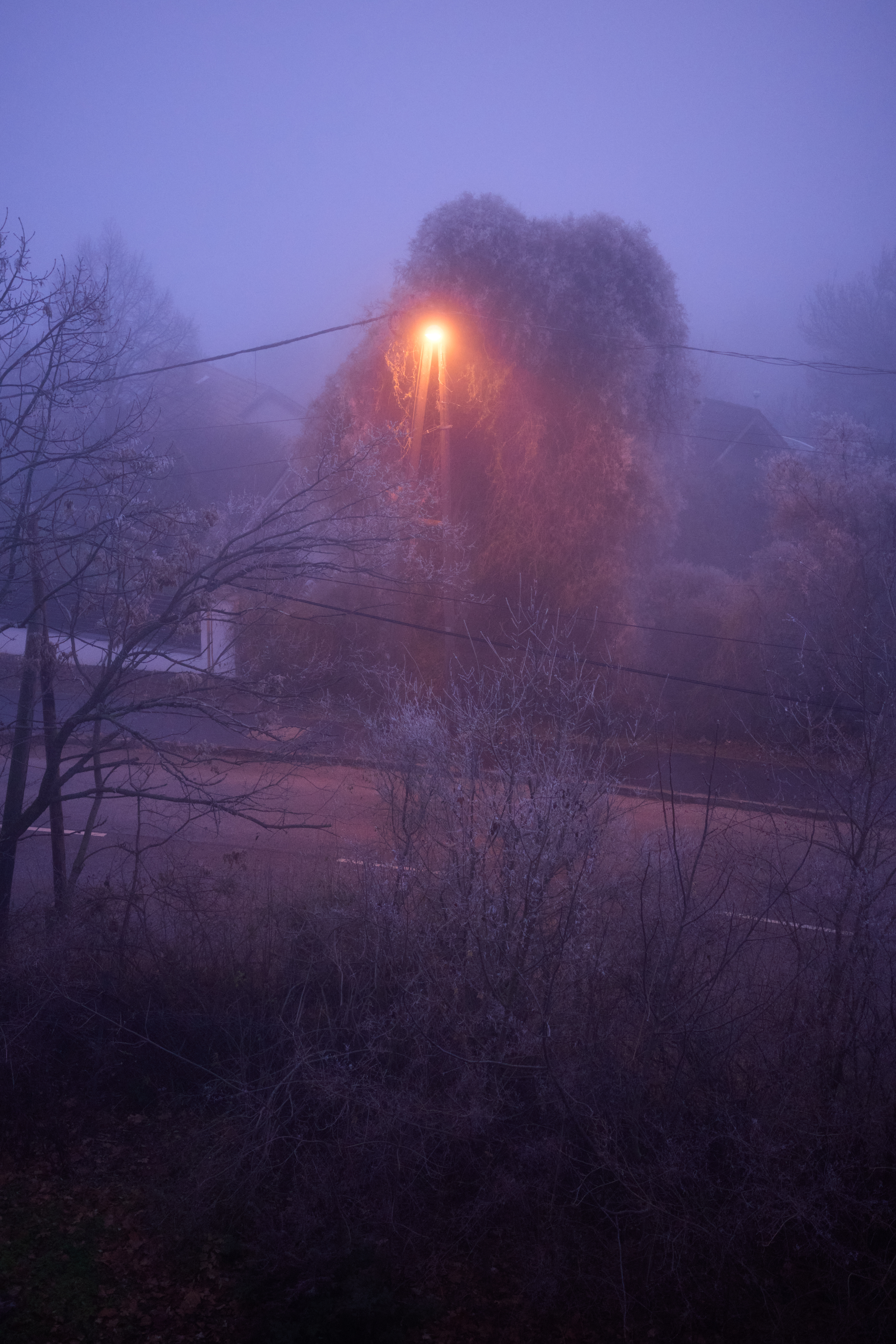 View from my window