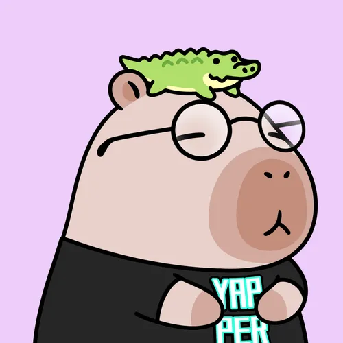 Yapybara #855