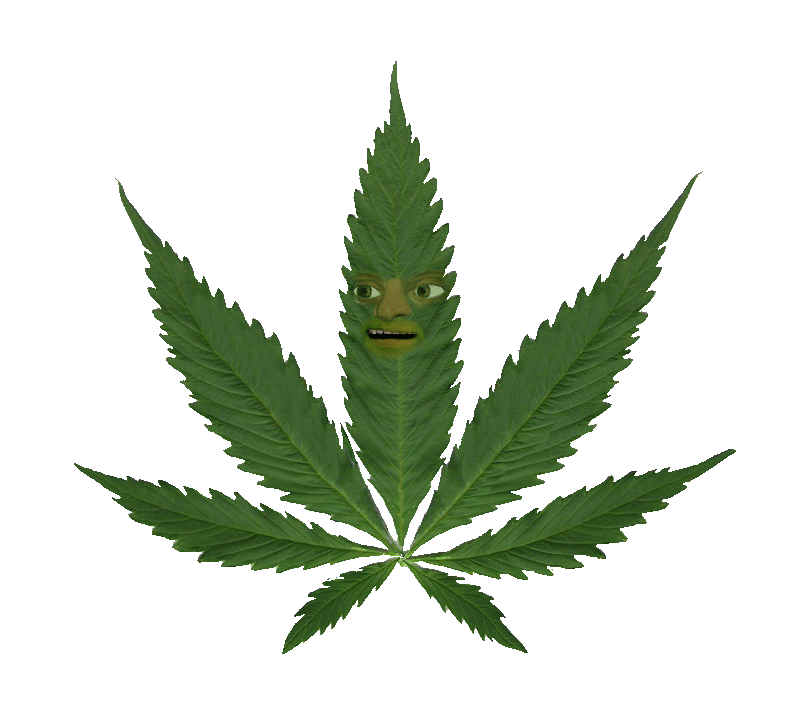 Pot