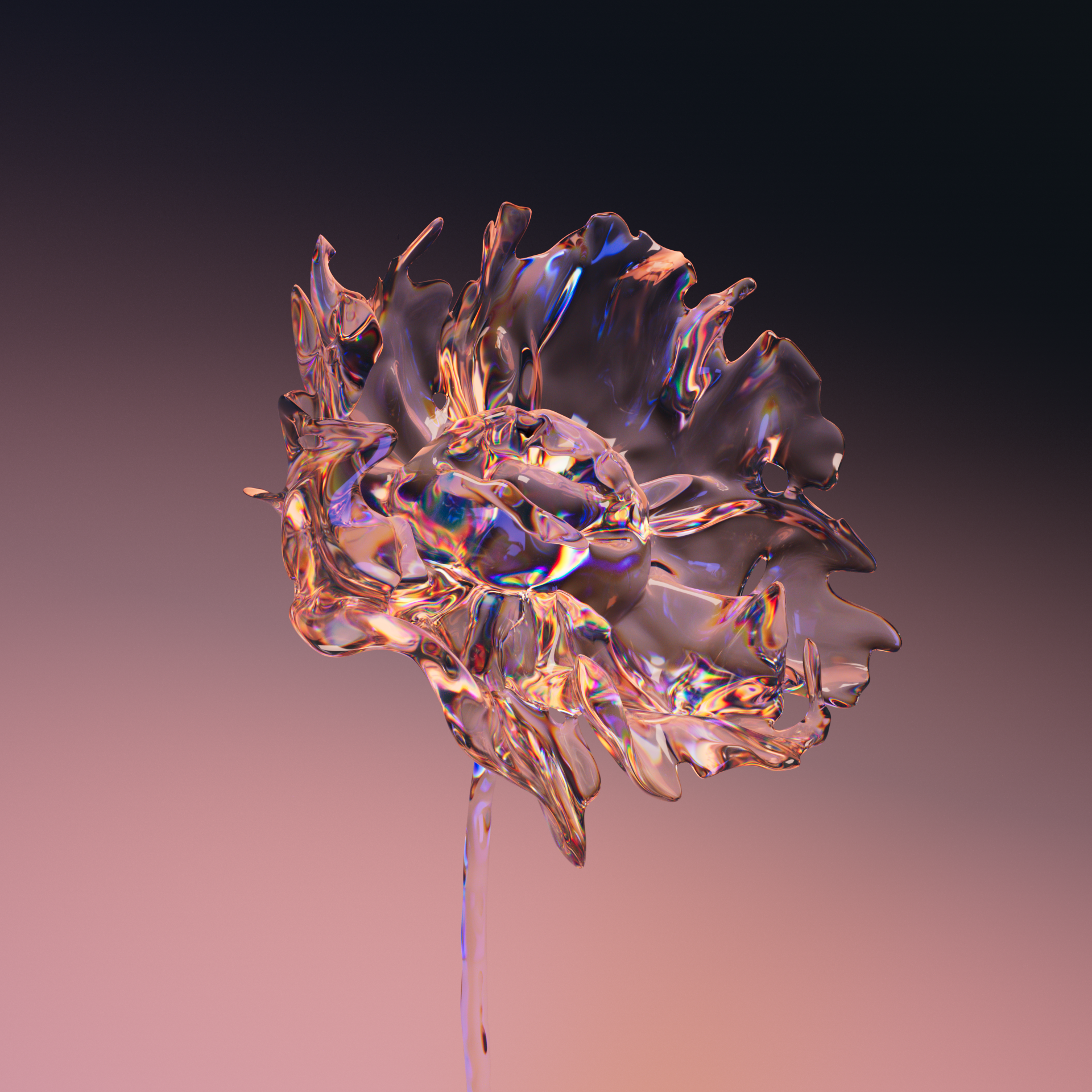 Flora in Frequency (still)