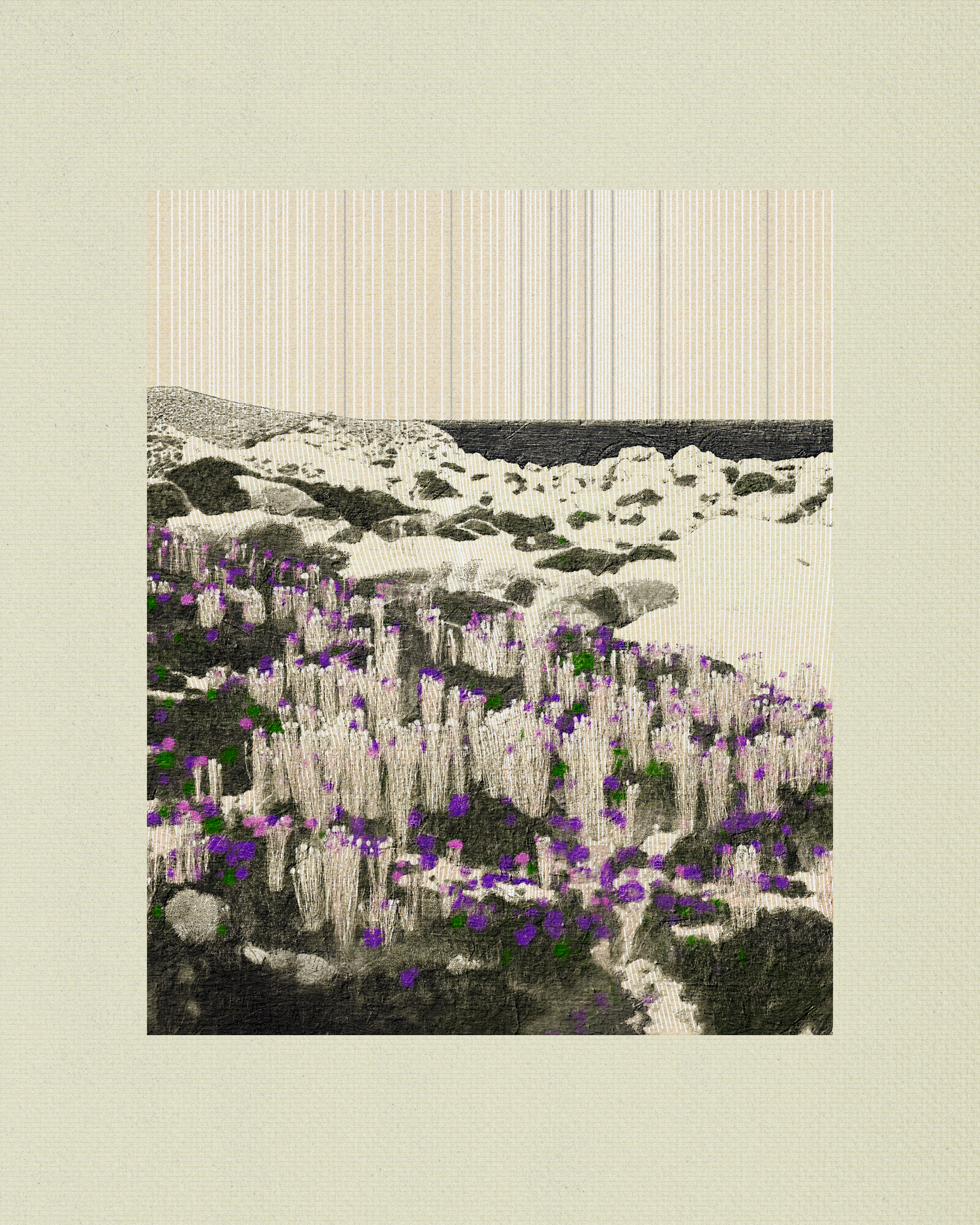 Coast #75
