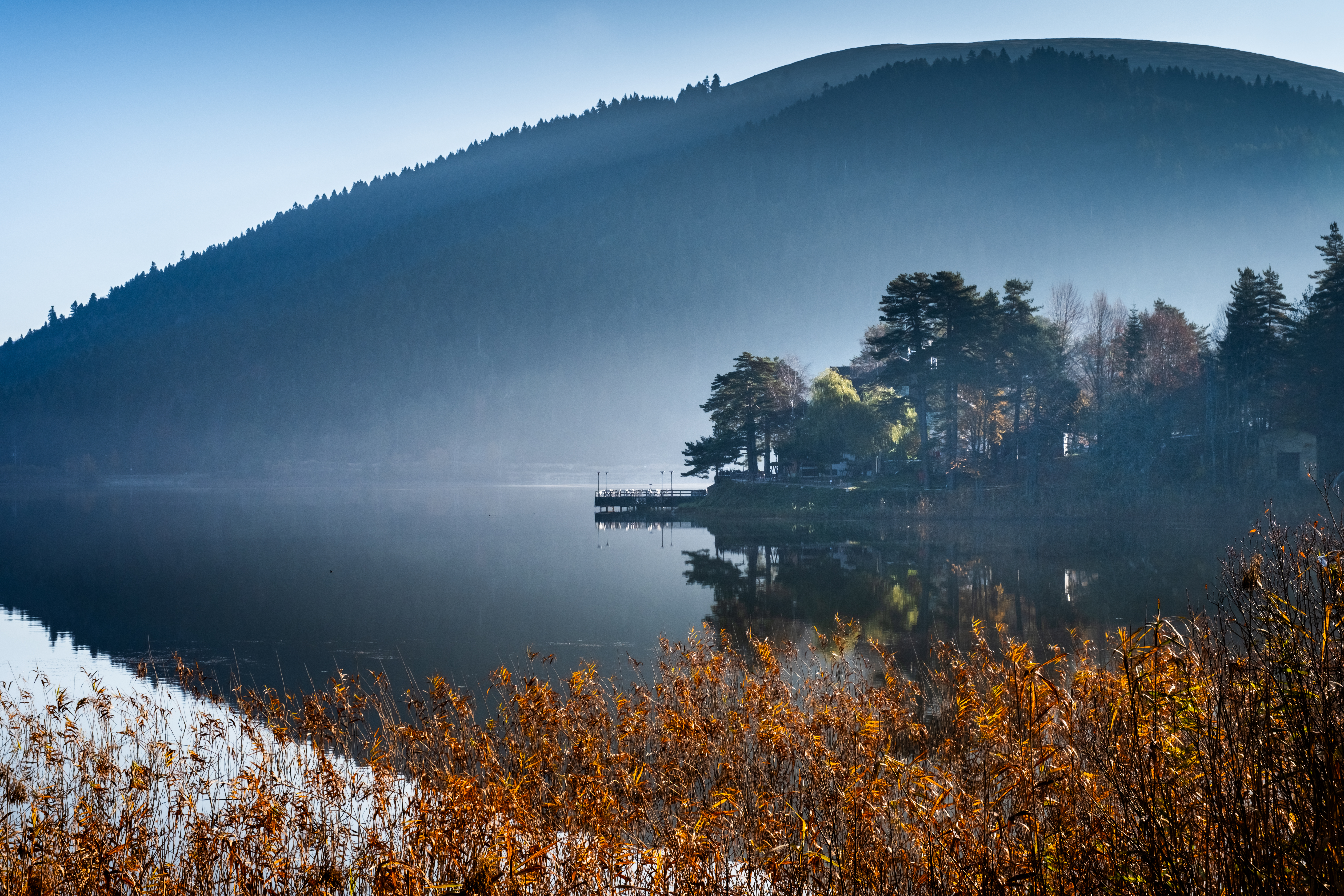 Reflection #19