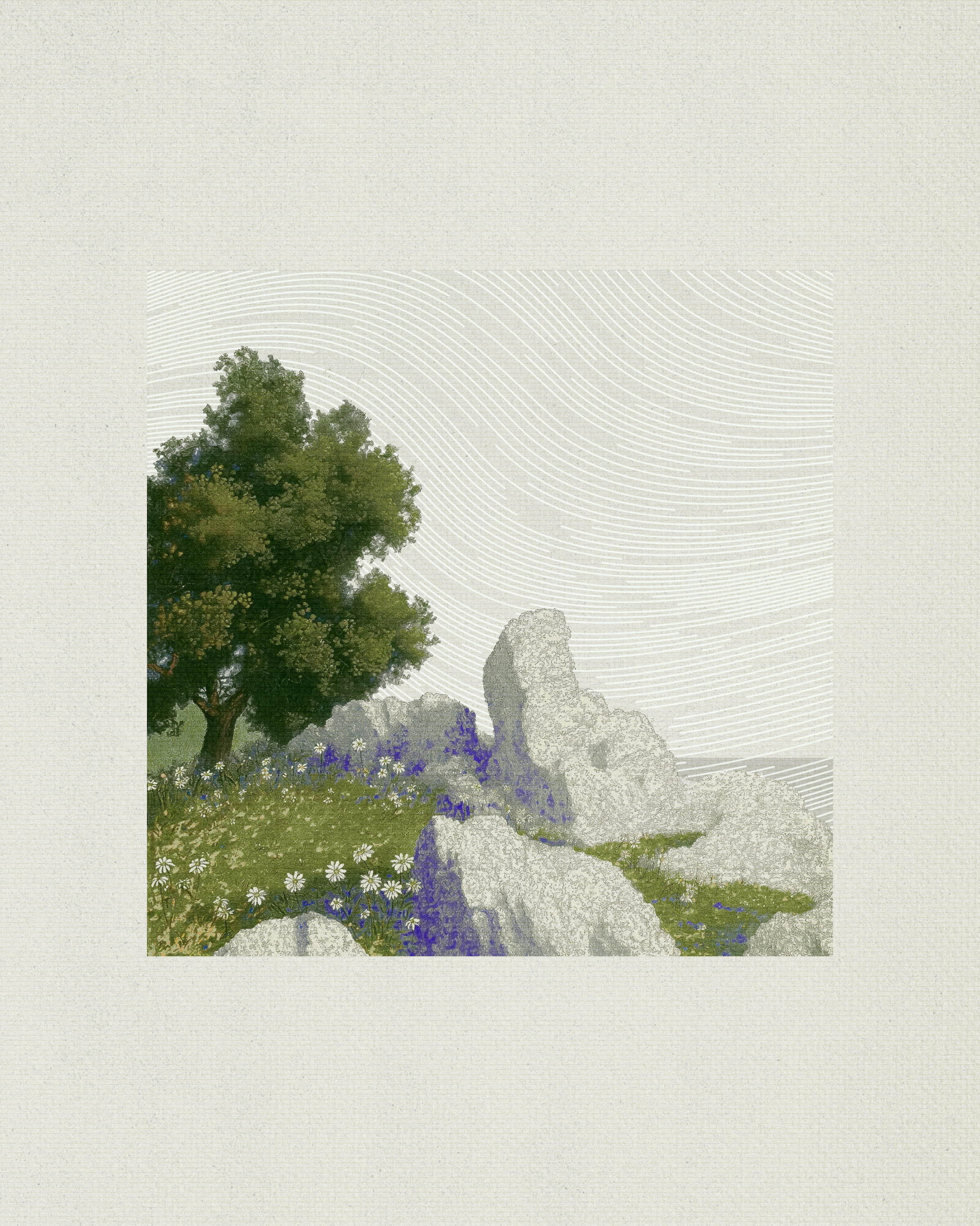 Coast #6