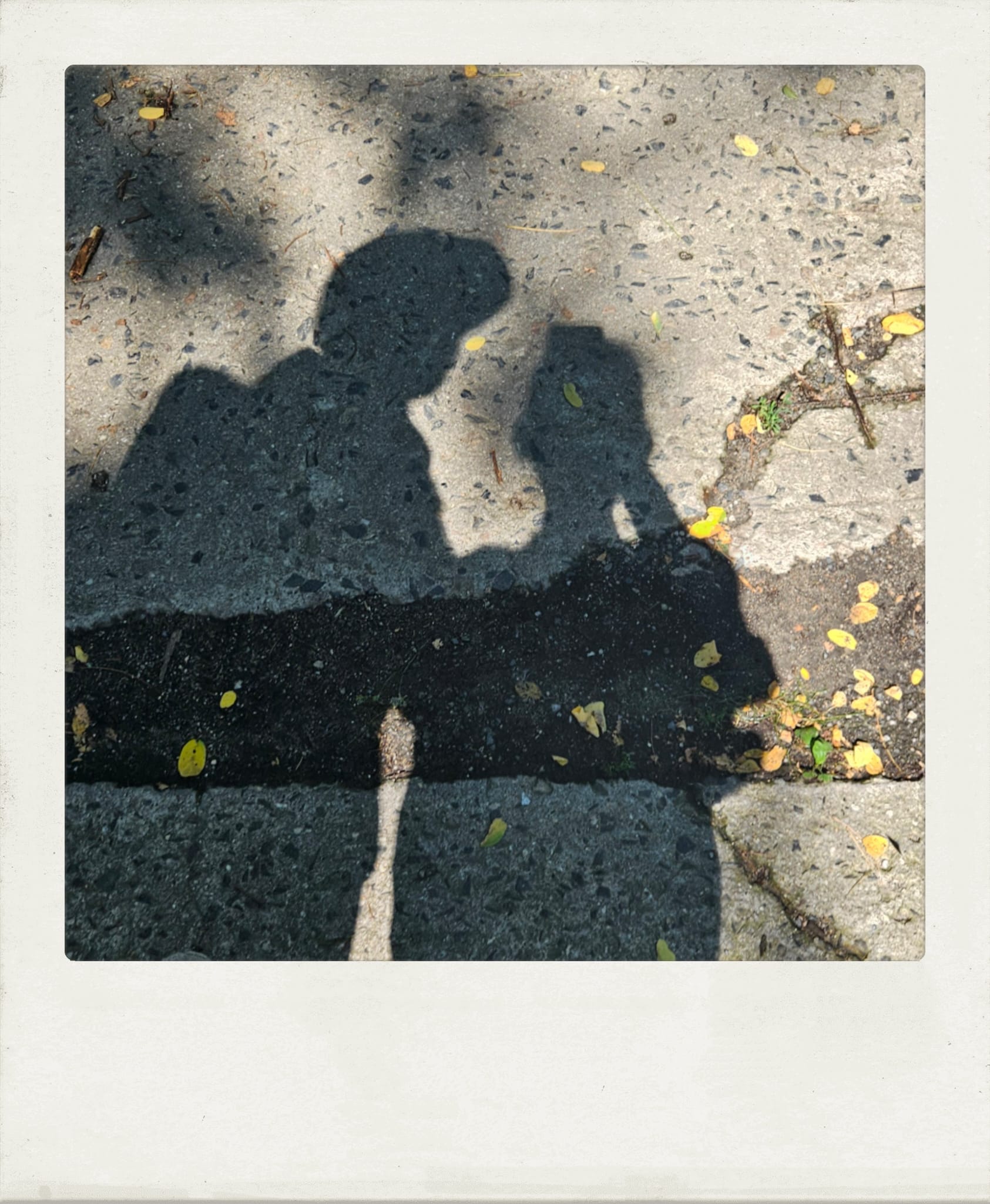 Summer Fling